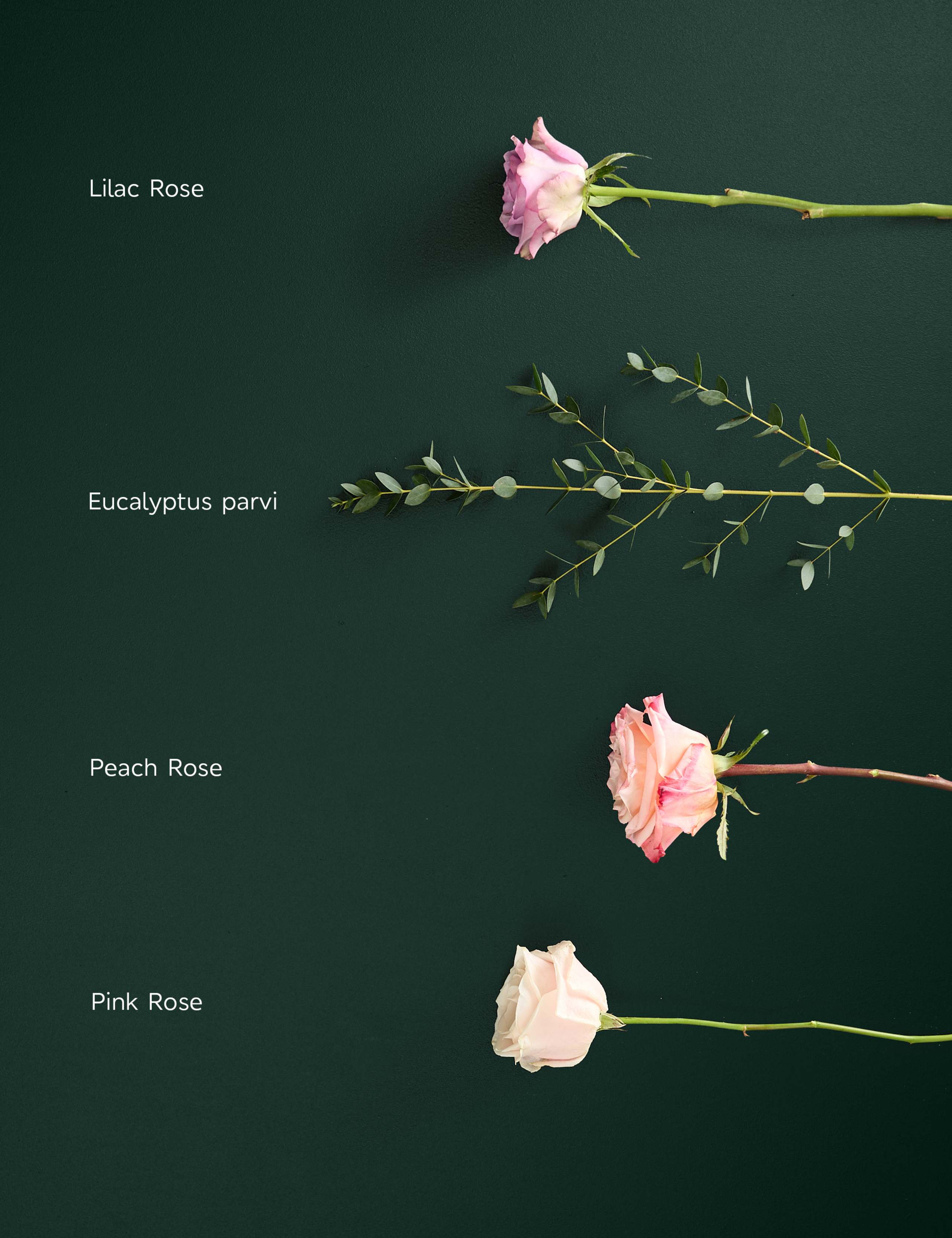 Mother's Day Peach Rose & Eucalyptus Bouquet with Champagne & Truffles 4 of 8