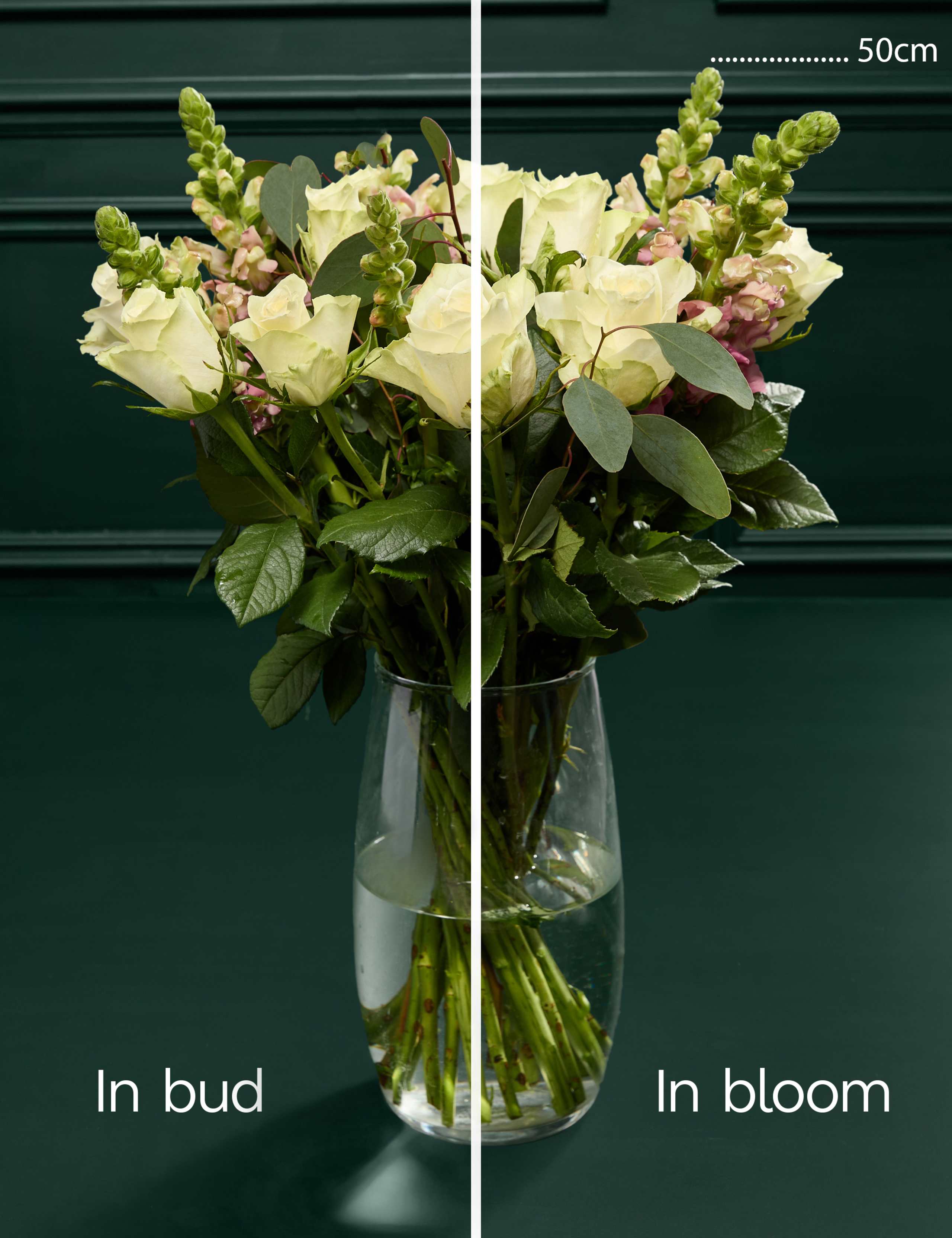 Lovely Mum Rose Bouquet with Prosecco 5 of 7