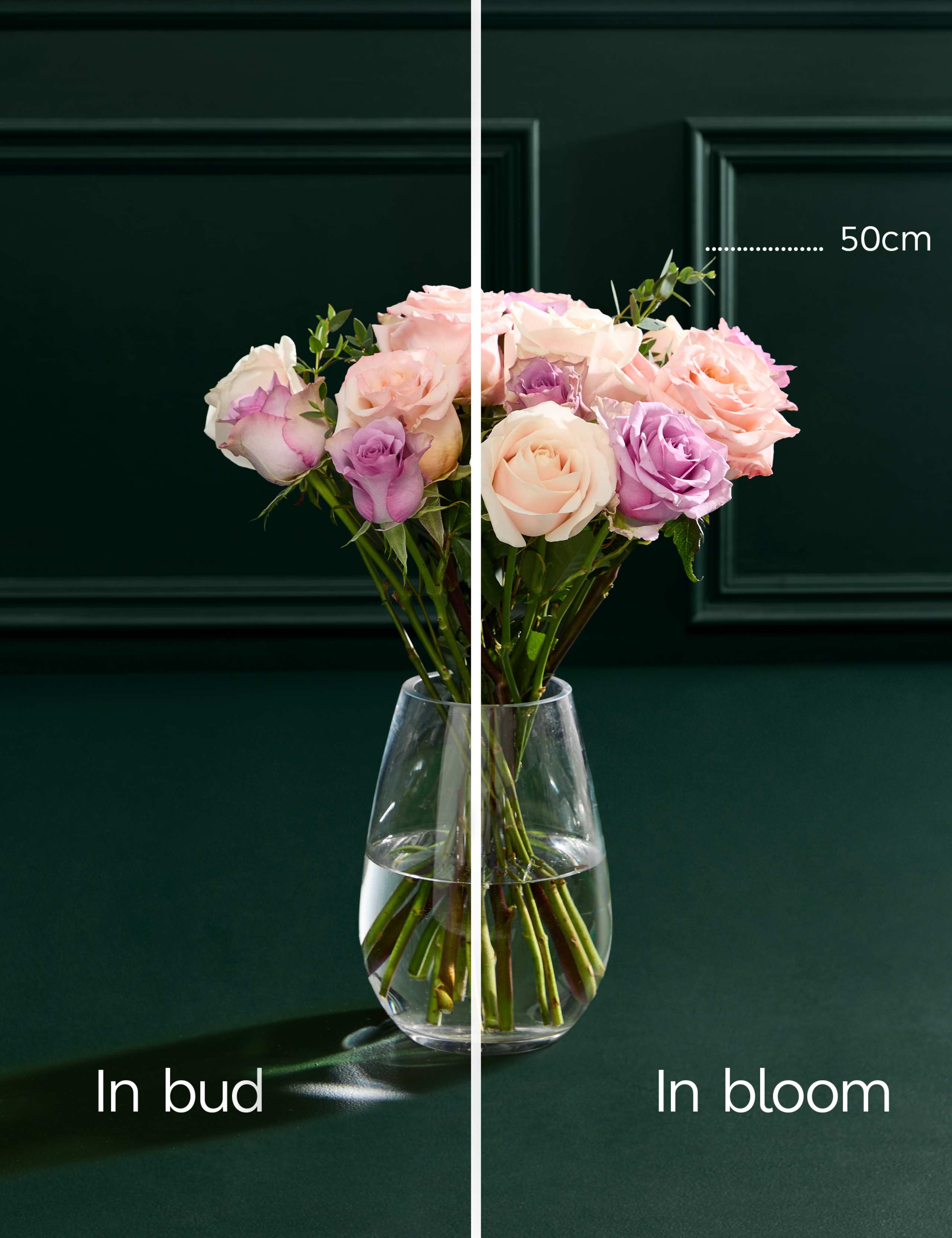 Mother's Day Peach Rose & Eucalyptus Bouquet with Champagne & Truffles 6 of 8