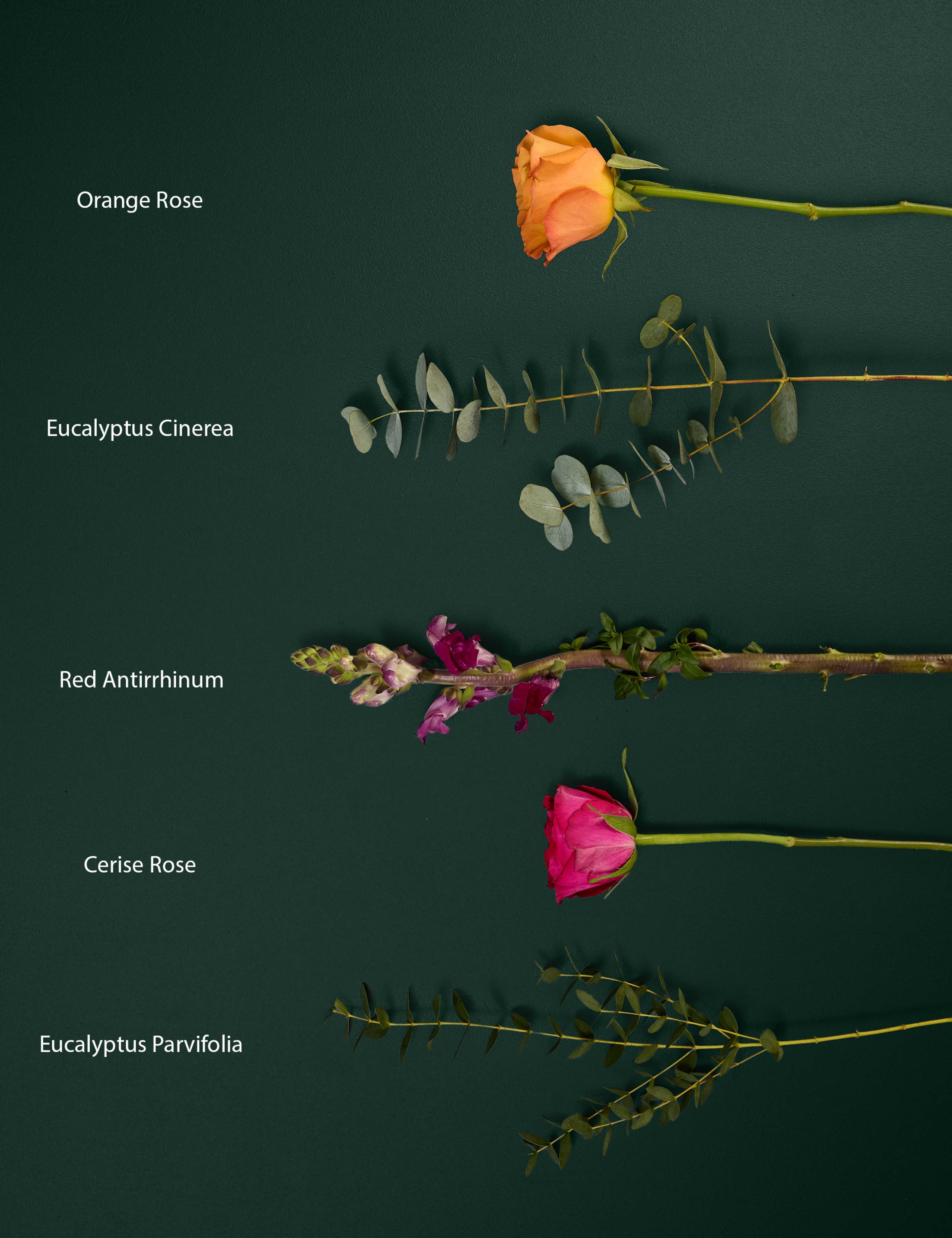 Bright Rose & Antirrhinum Bouquet 5 of 7
