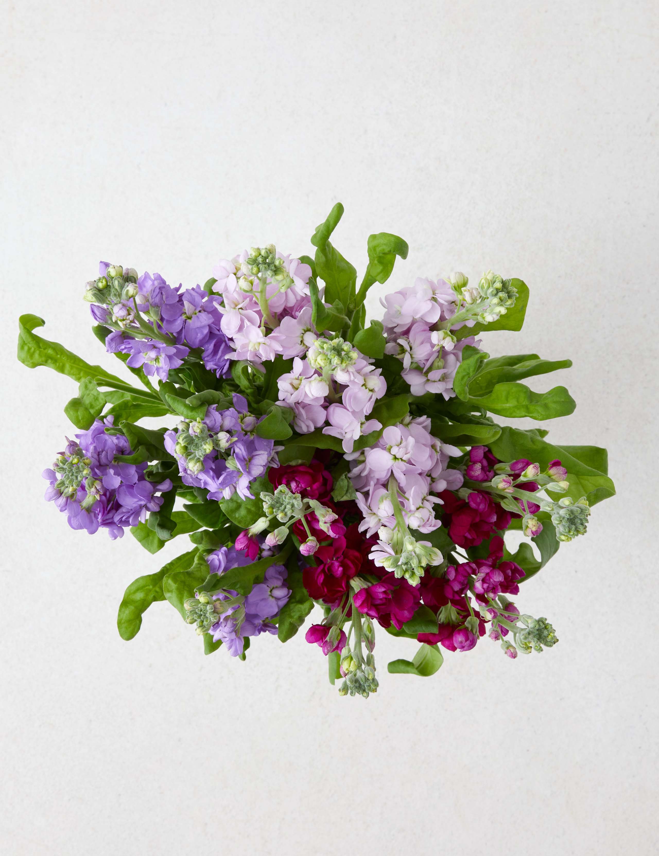 Mother's Day Bouquet with Seed Packet & Notebook 2 of 4