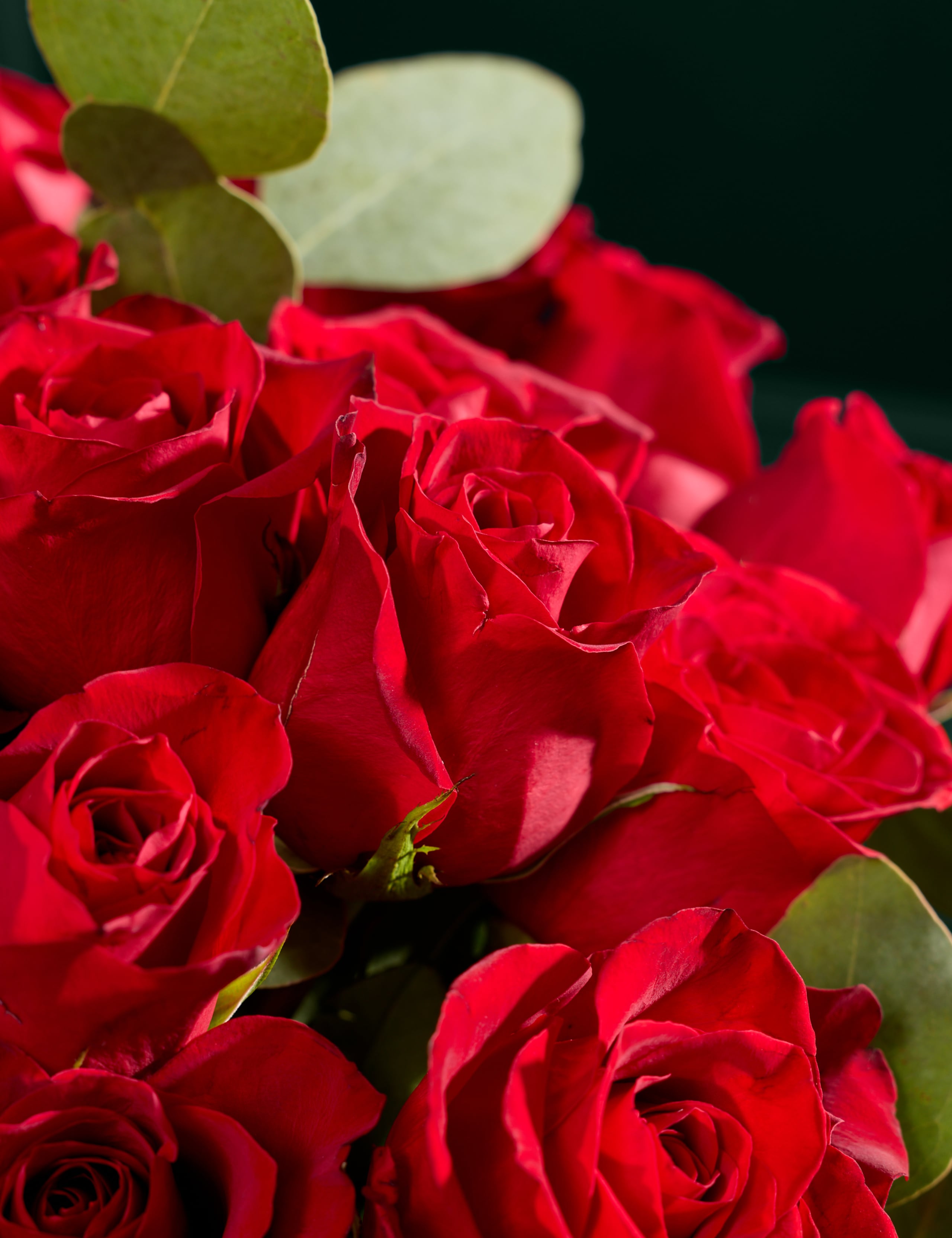 Valentine's Red Freedom® Roses & Eucalyptus Bouquet 4 of 8