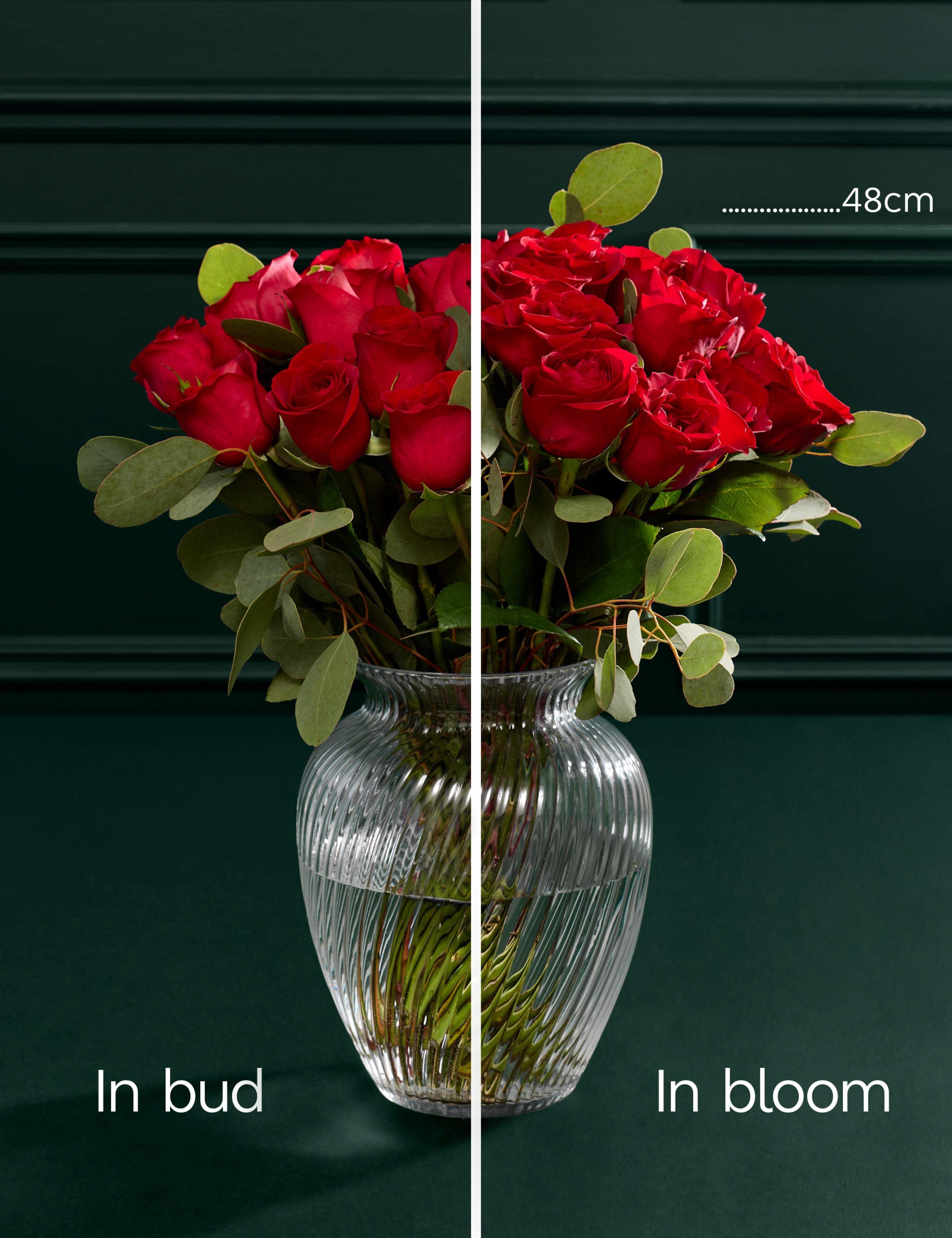 Valentine's Red Freedom® Roses & Eucalyptus Bouquet 5 of 8