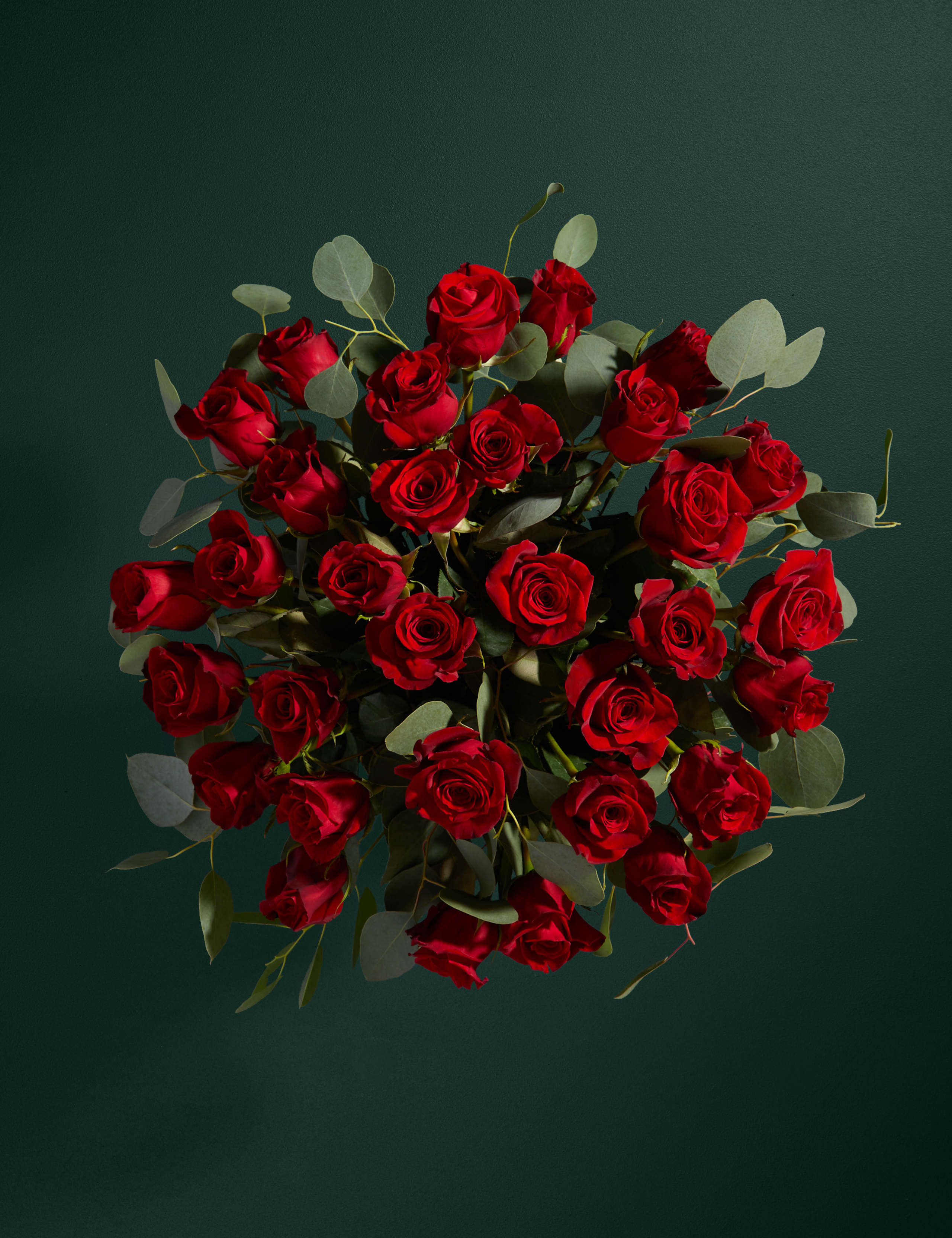 Red Freedom® Rose & Eucalyptus Bouquet 2 of 7