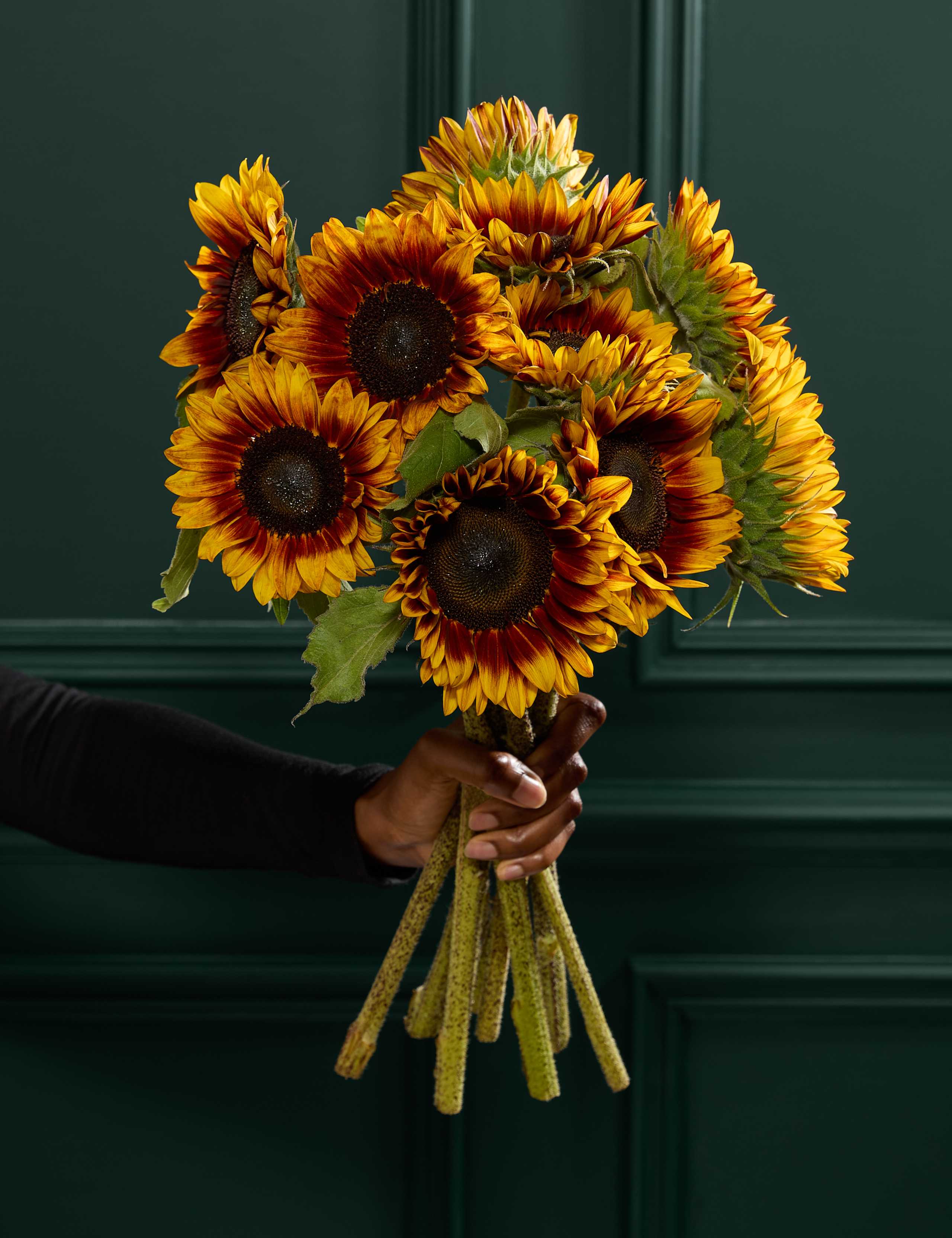 Speciality Sunflower Abundance Bouquet (Delivery from 26th August) 1 of 6