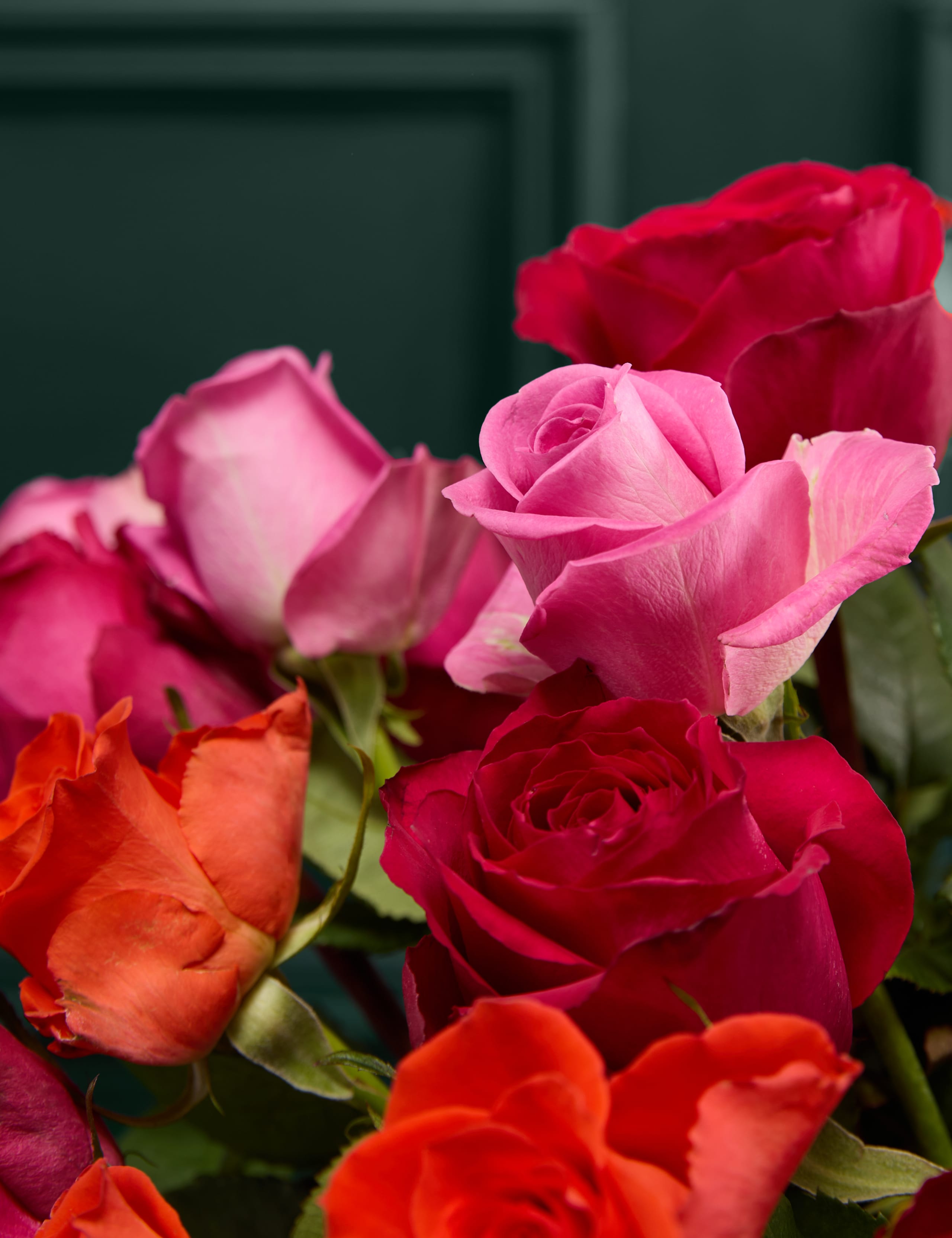 Radiant Rose Abundance Bouquet 3 of 6