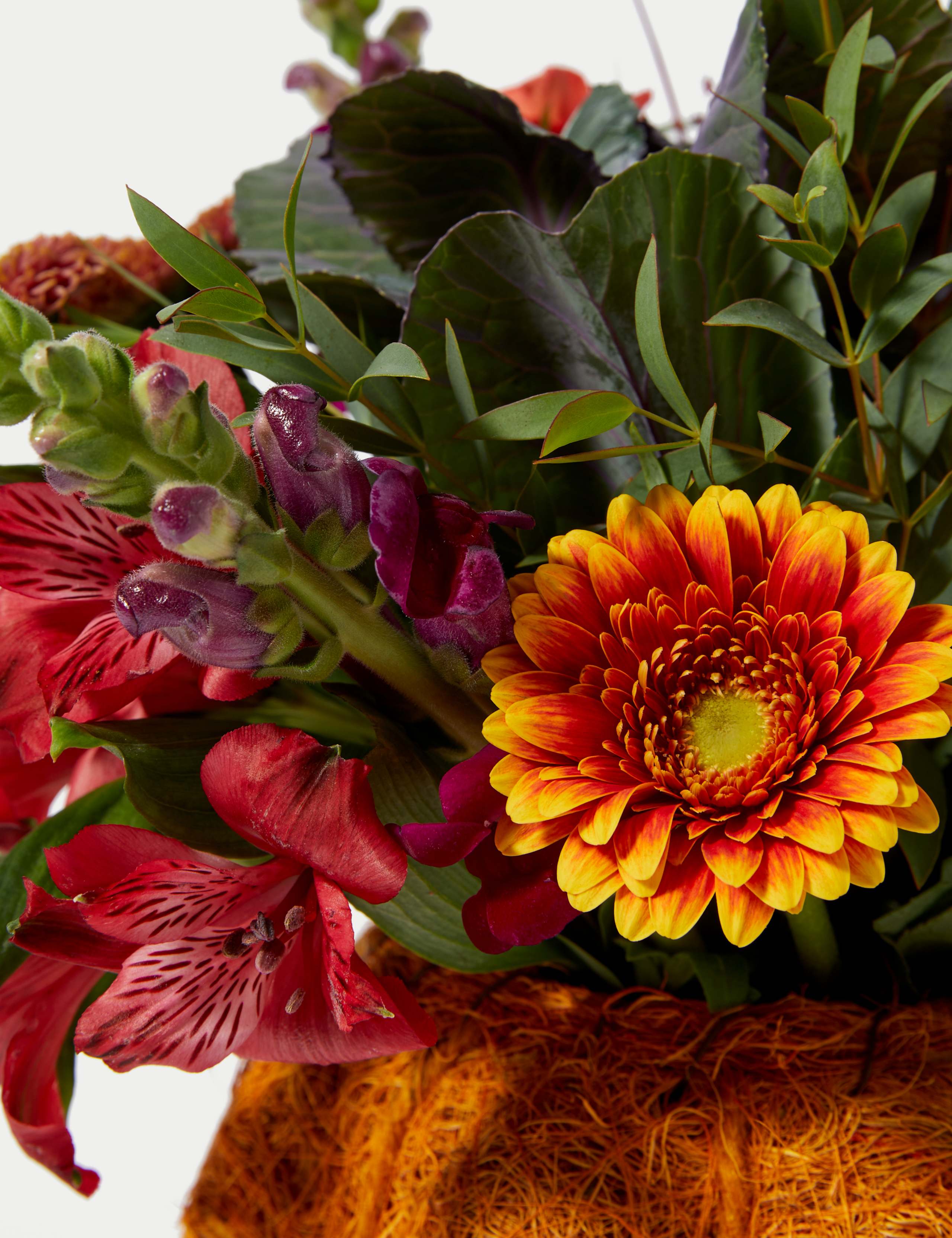 Ready To Arrange Pumpkin Bouquet (Delivery from 28th October 2023) 4 of 6
