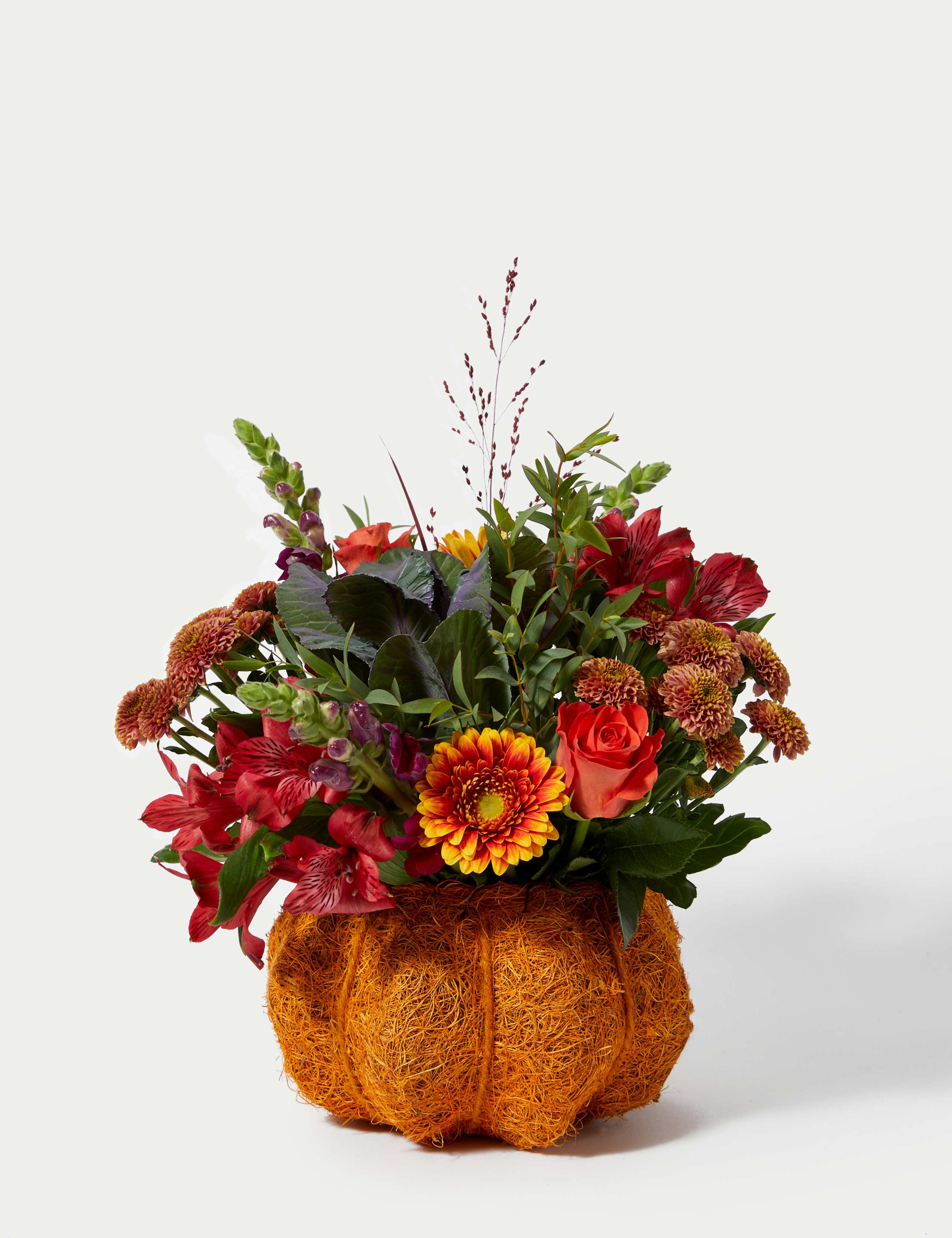 Ready To Arrange Pumpkin Bouquet (Delivery from 28th October 2023) 2 of 6