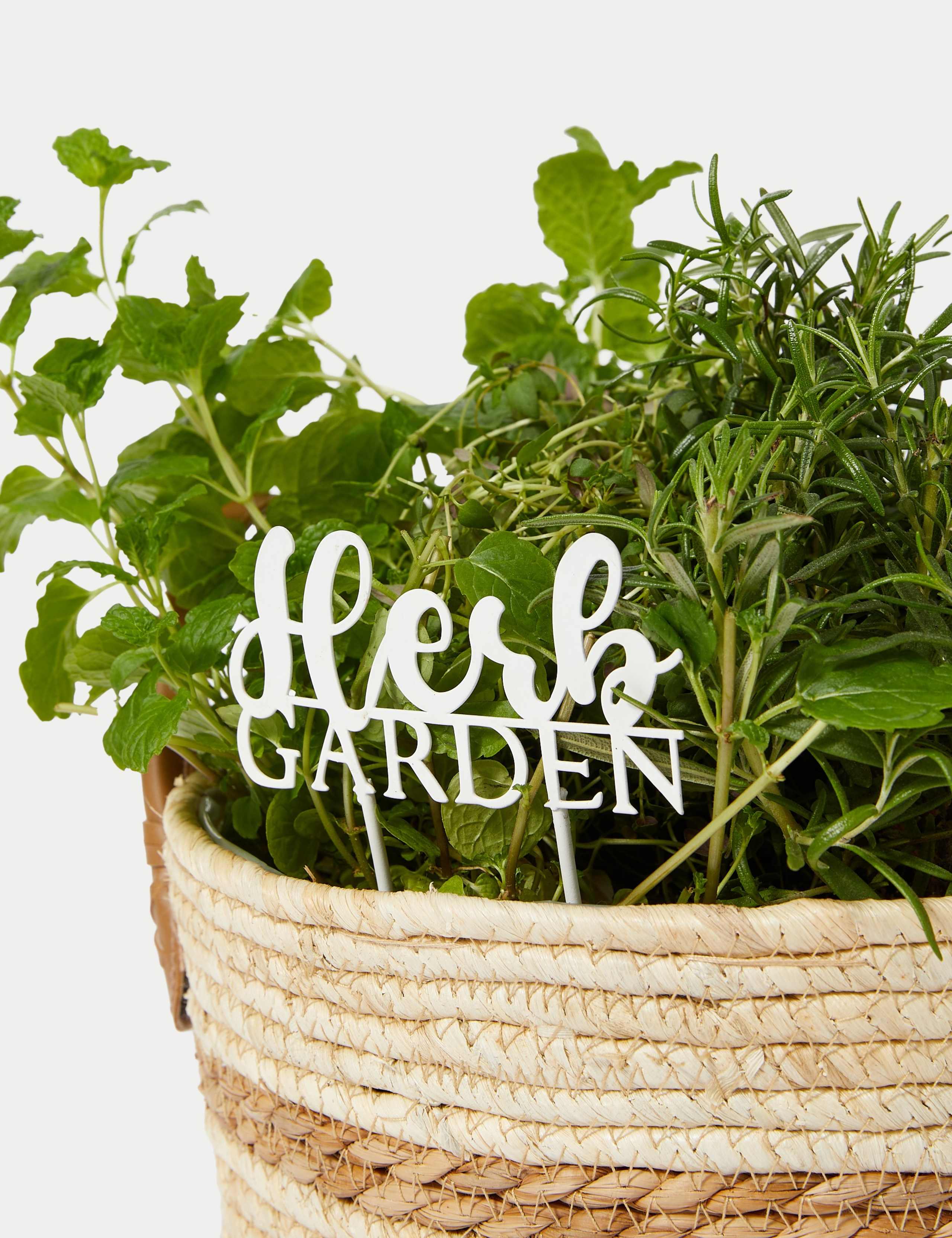 Herb Basket 3 of 4