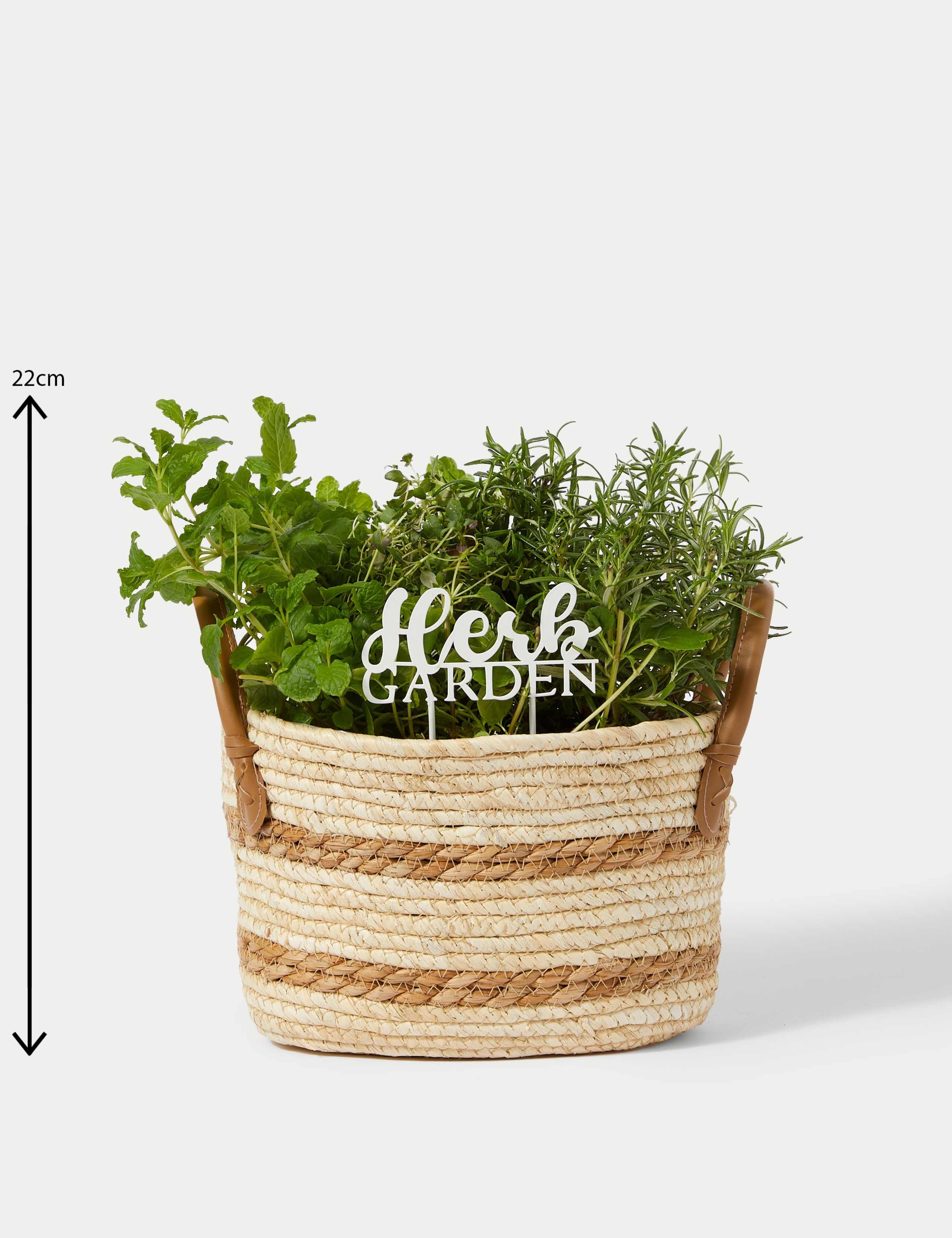 Herb Basket 2 of 4