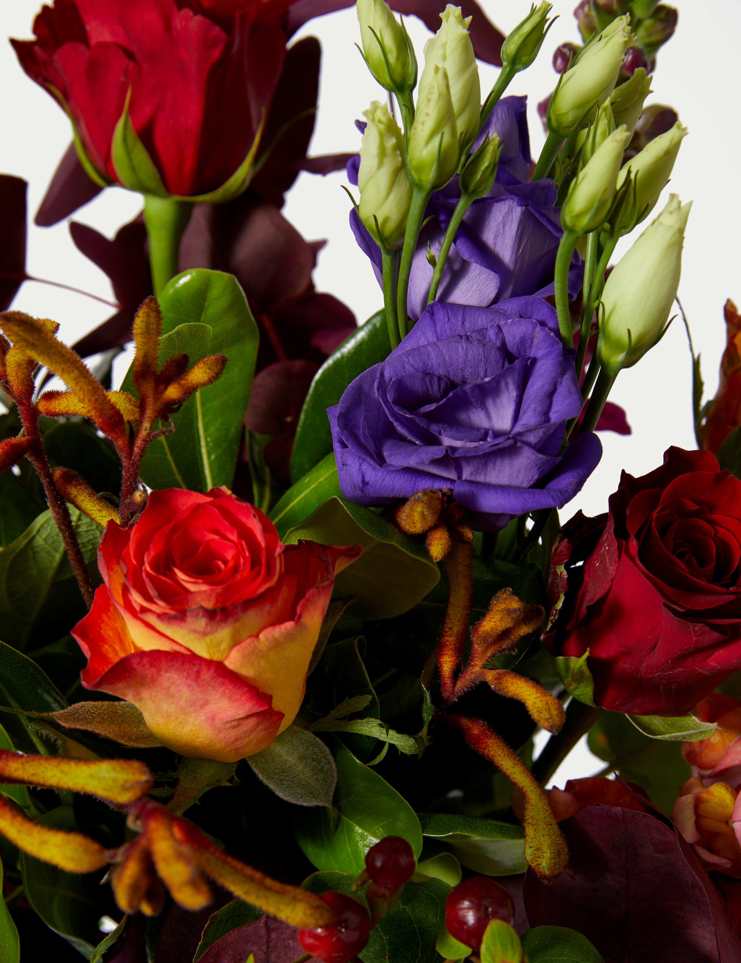 Roses, Hypericum & Lisianthus 4 of 4