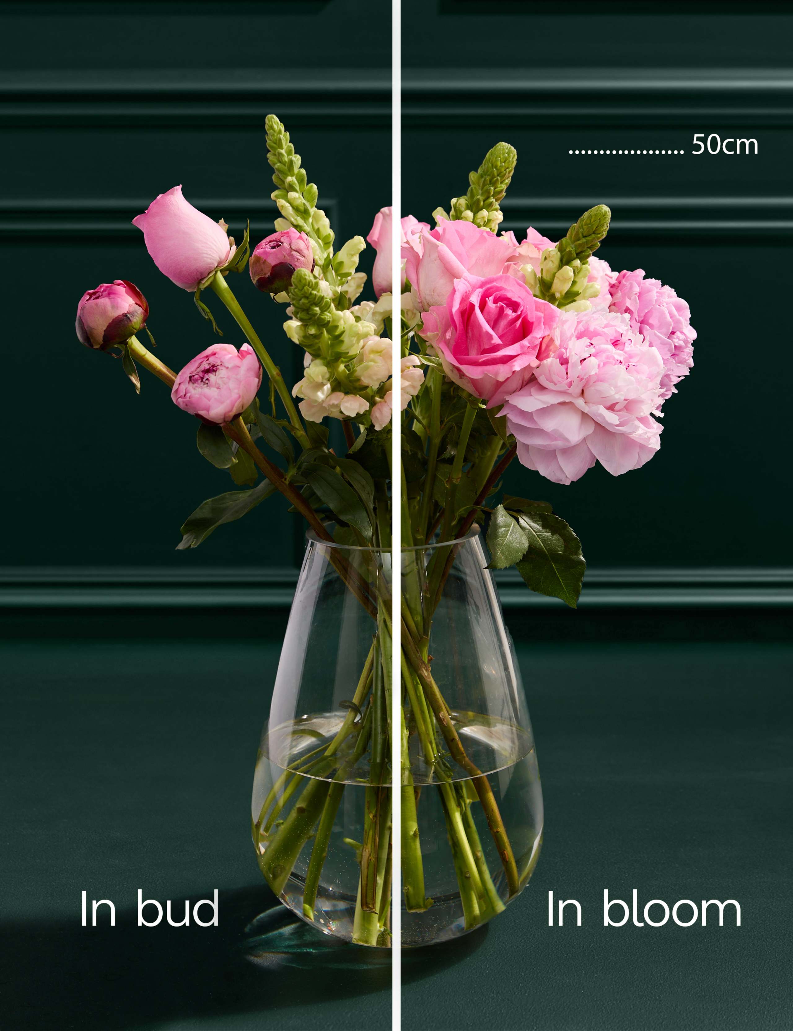 Rose, Antirrhinum Peony Bouquet 4 of 6