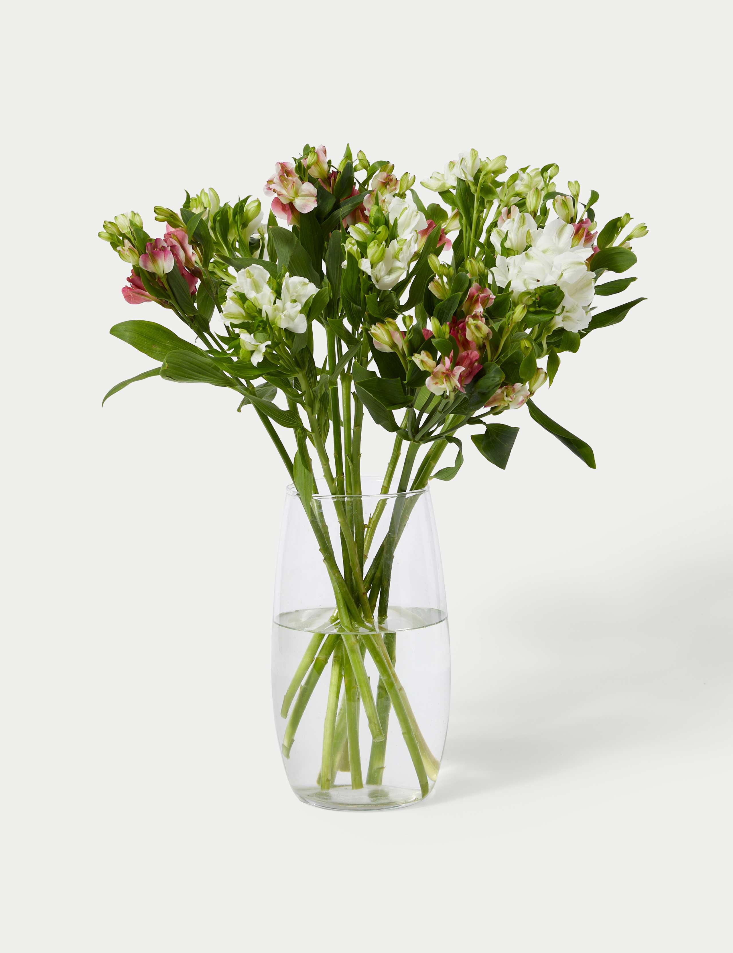 Charmelia Alstroemeria Bouquet 3 of 5