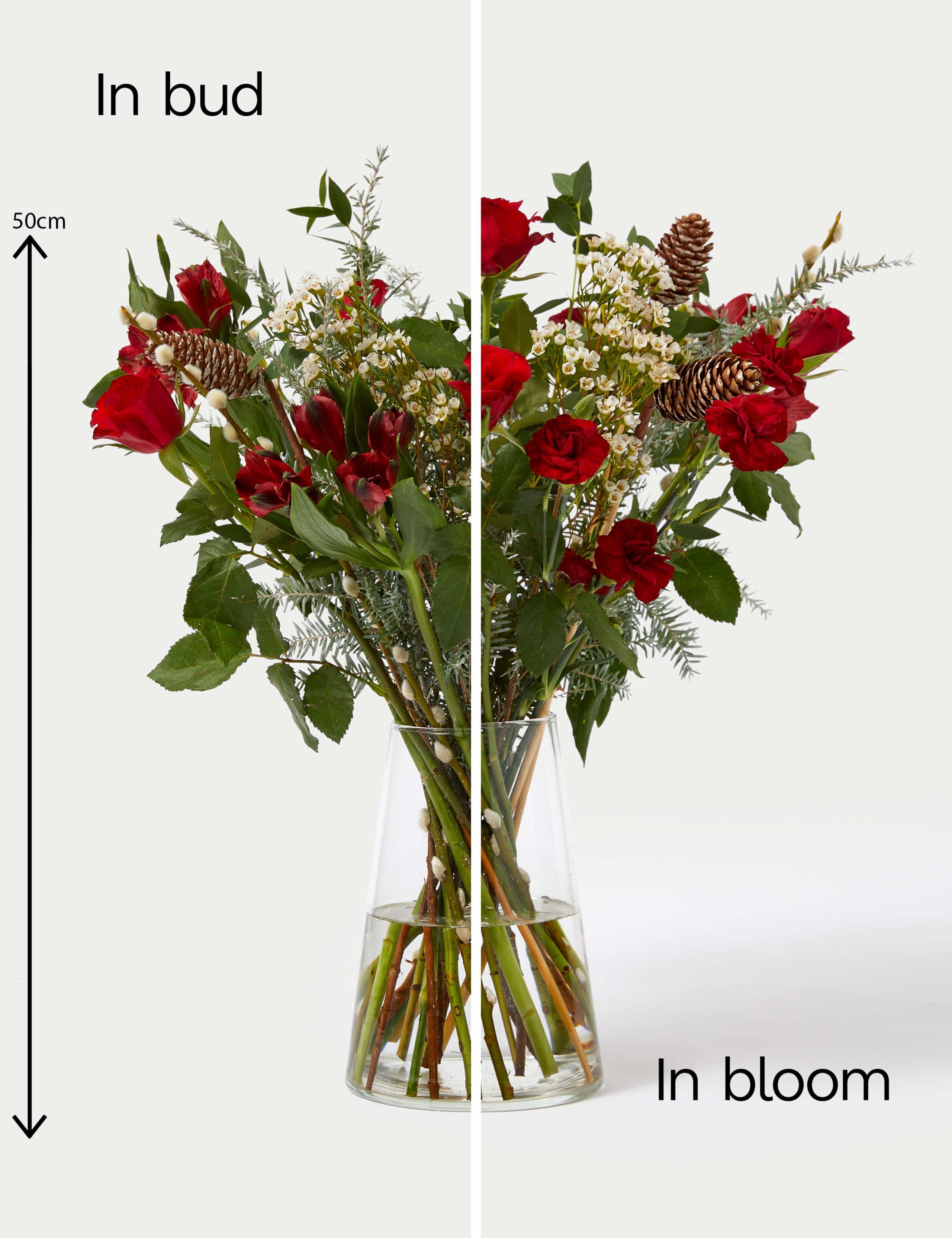 Festive Red Rose & Spray Carnation Bouquet with Chocolates 6 of 6