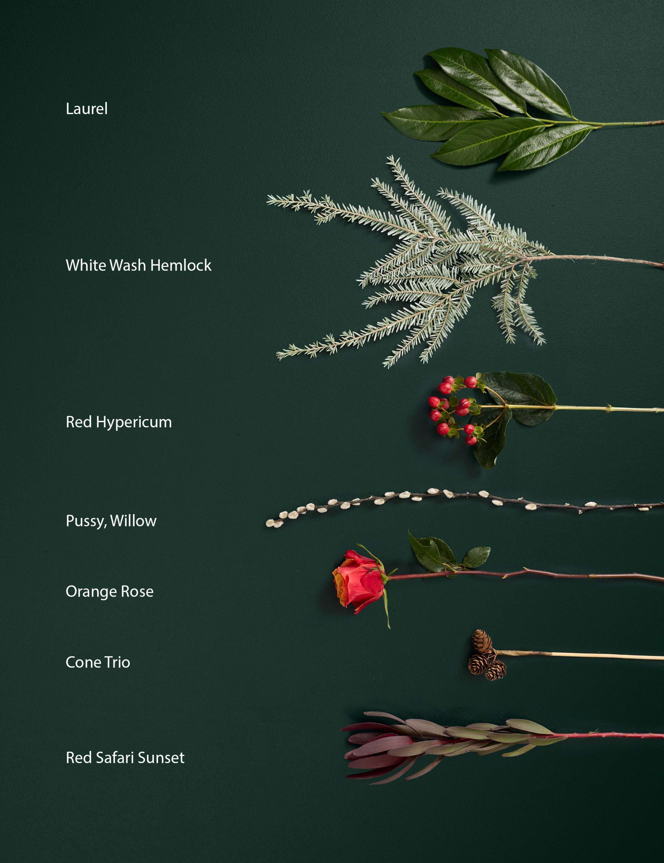 Orange Rose & Festive Foliage Bouquet 4 of 7