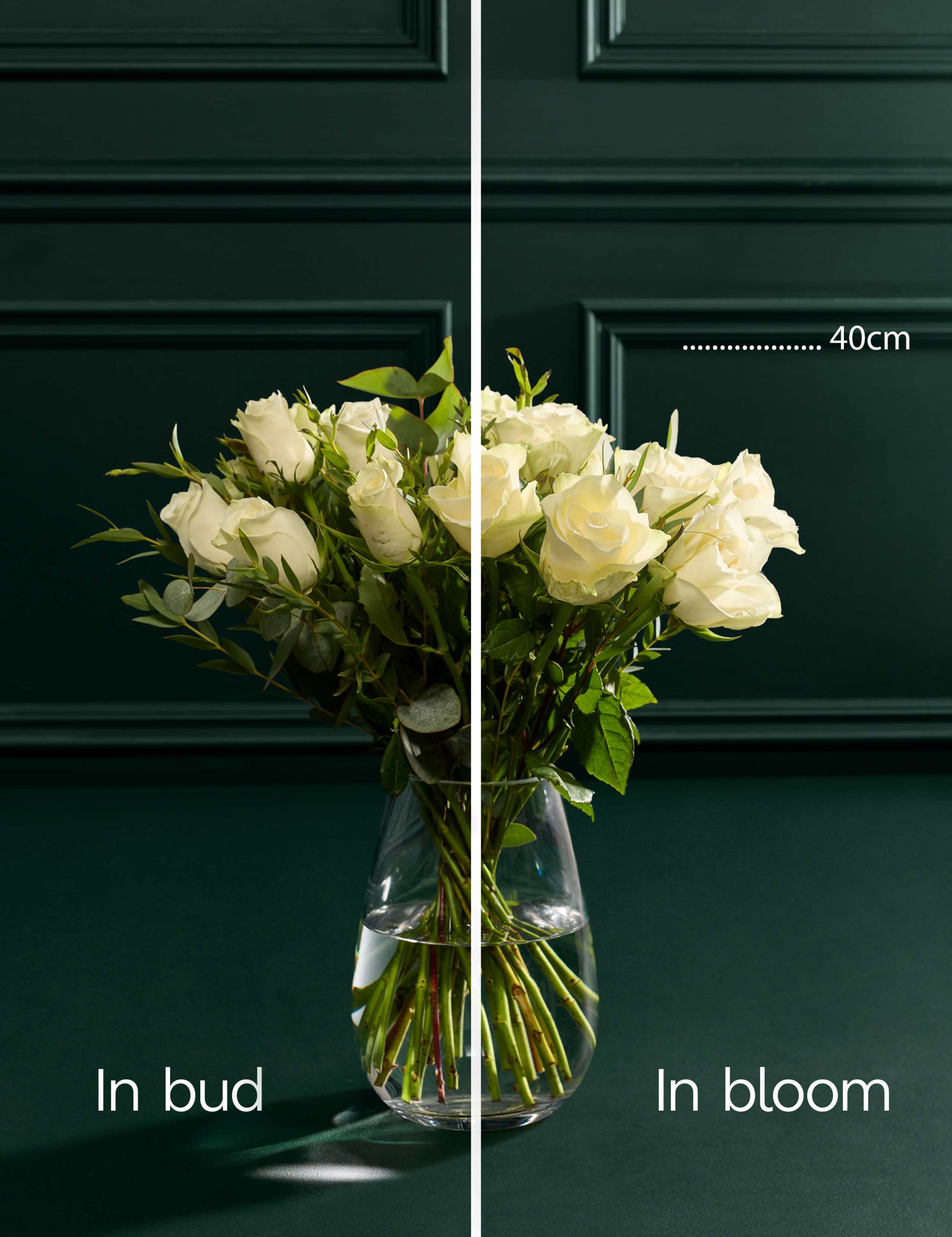 Festive White Rose & Eucalyptus Bouquet with Vintage Champagne 5 of 6