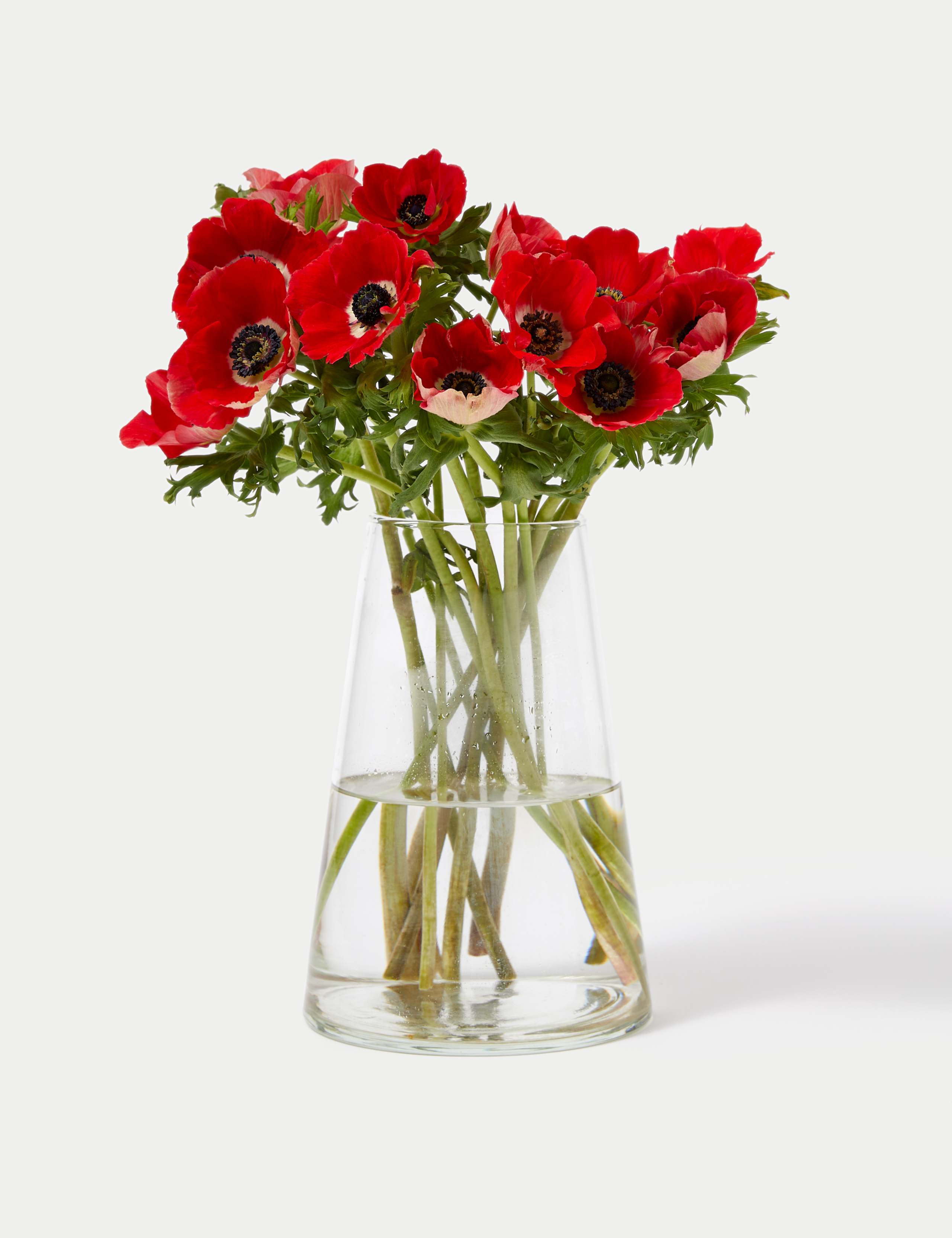 Festive Anemone Abundance Bouquet 3 of 5