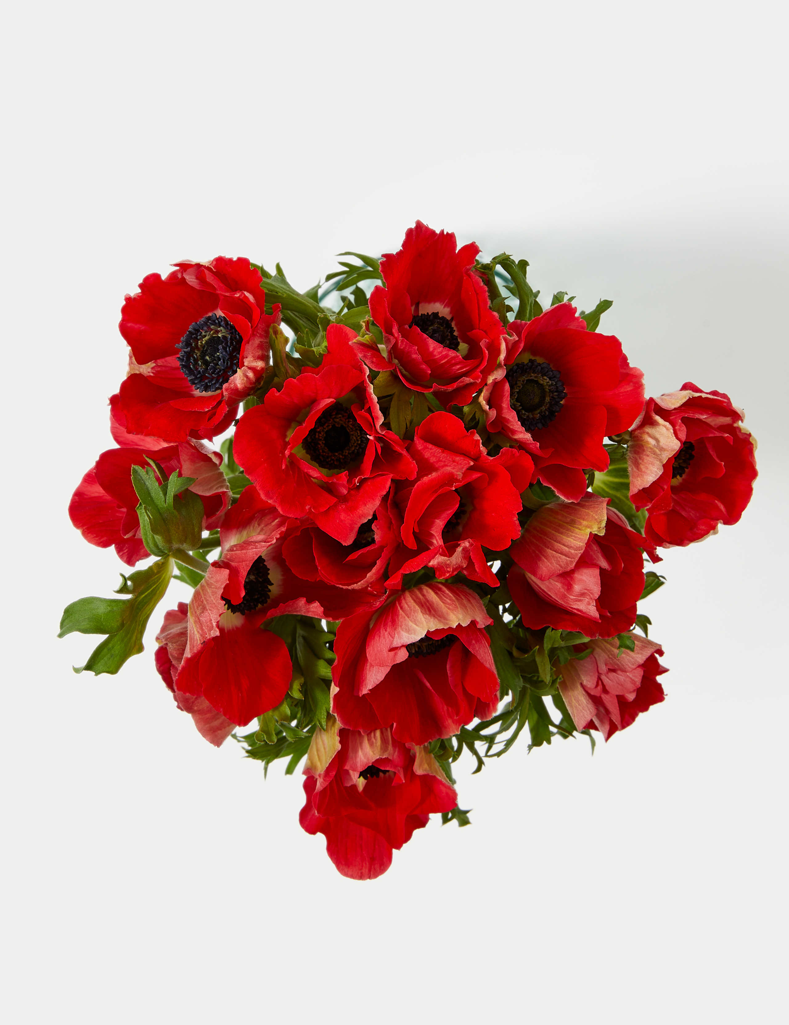 Festive Anemone Abundance Bouquet 2 of 5