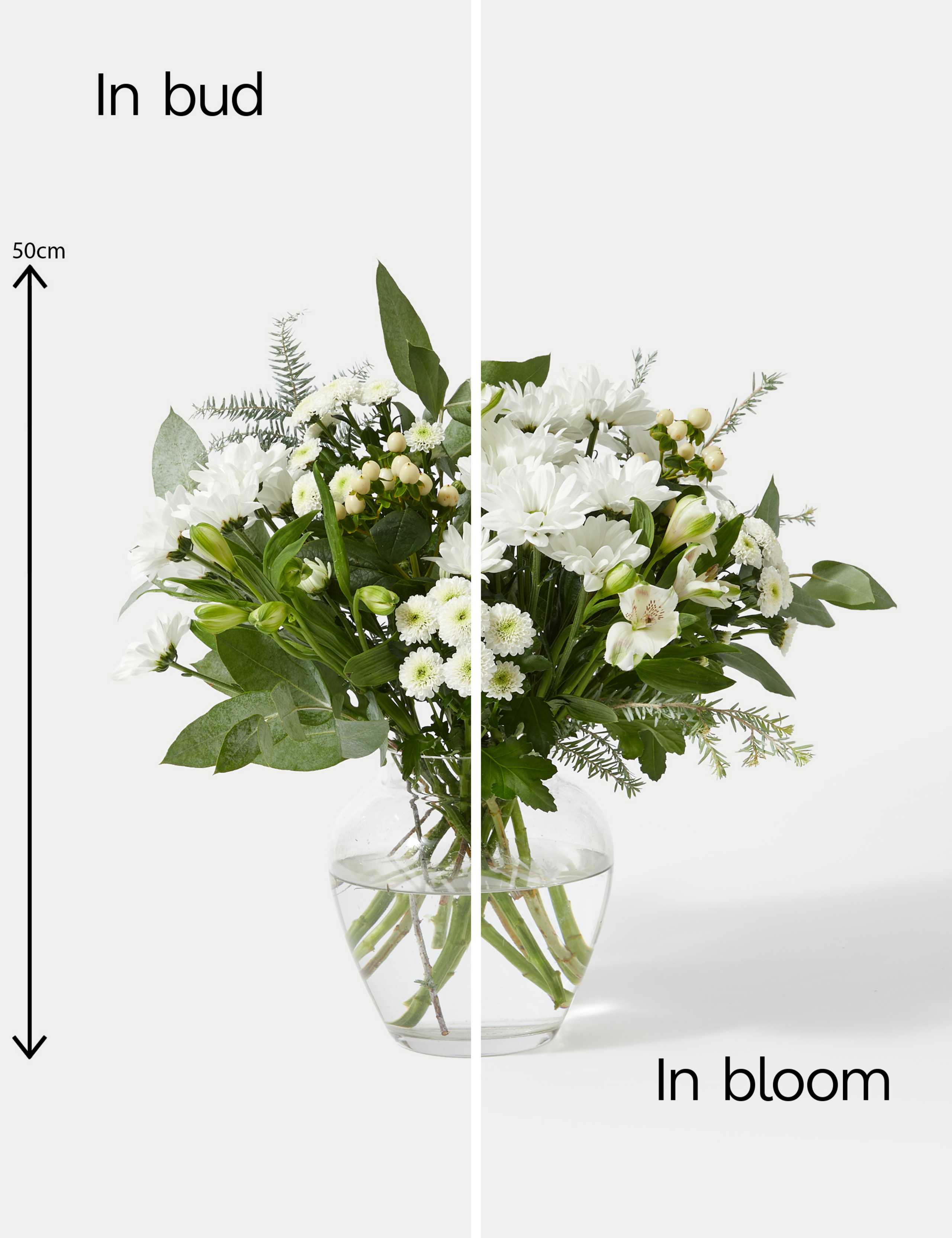 Festive White Chrysanthemum & Alstroemeria Bouquet 5 of 5