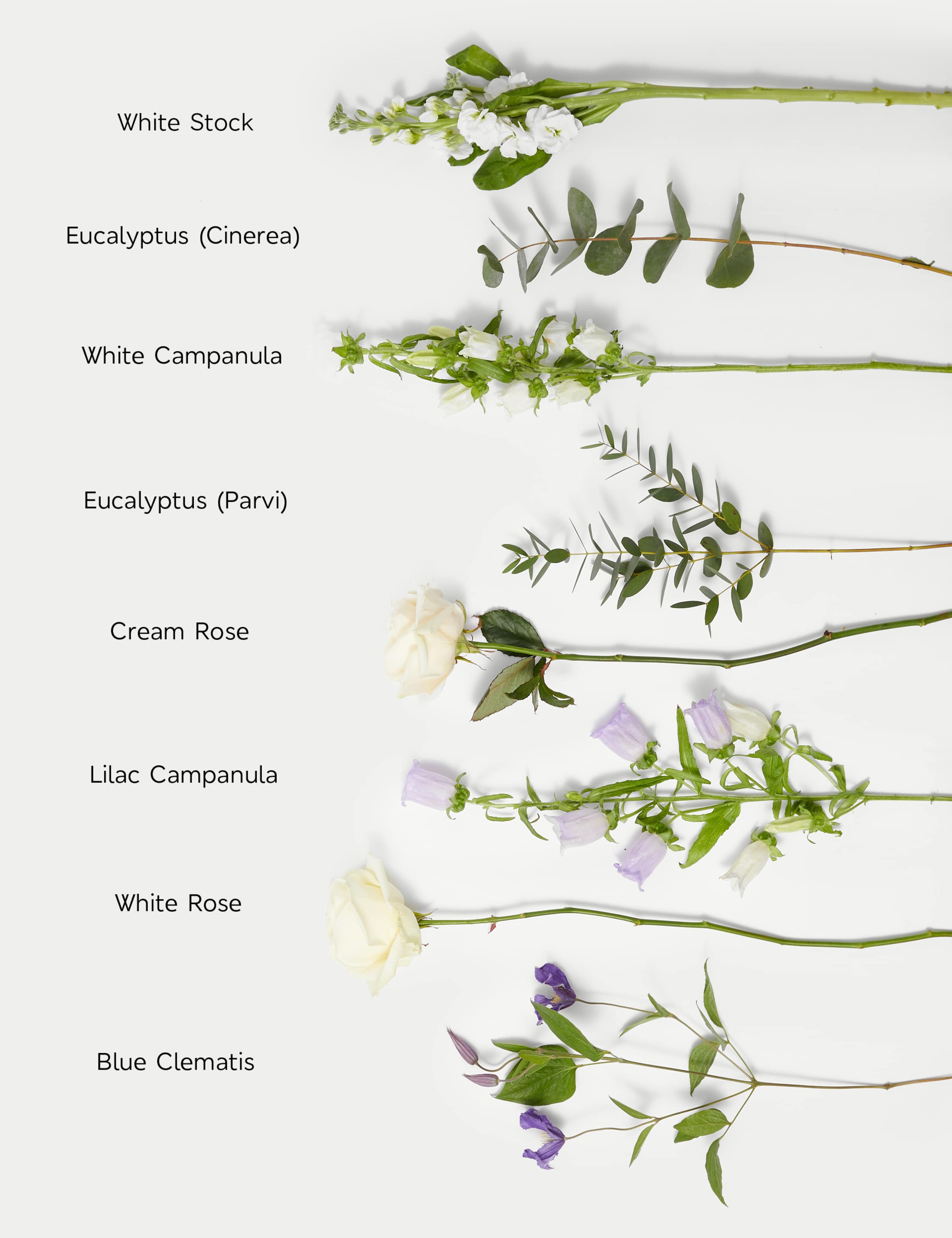 Mother's Day Stocks & Campanula Bouquet 5 of 5