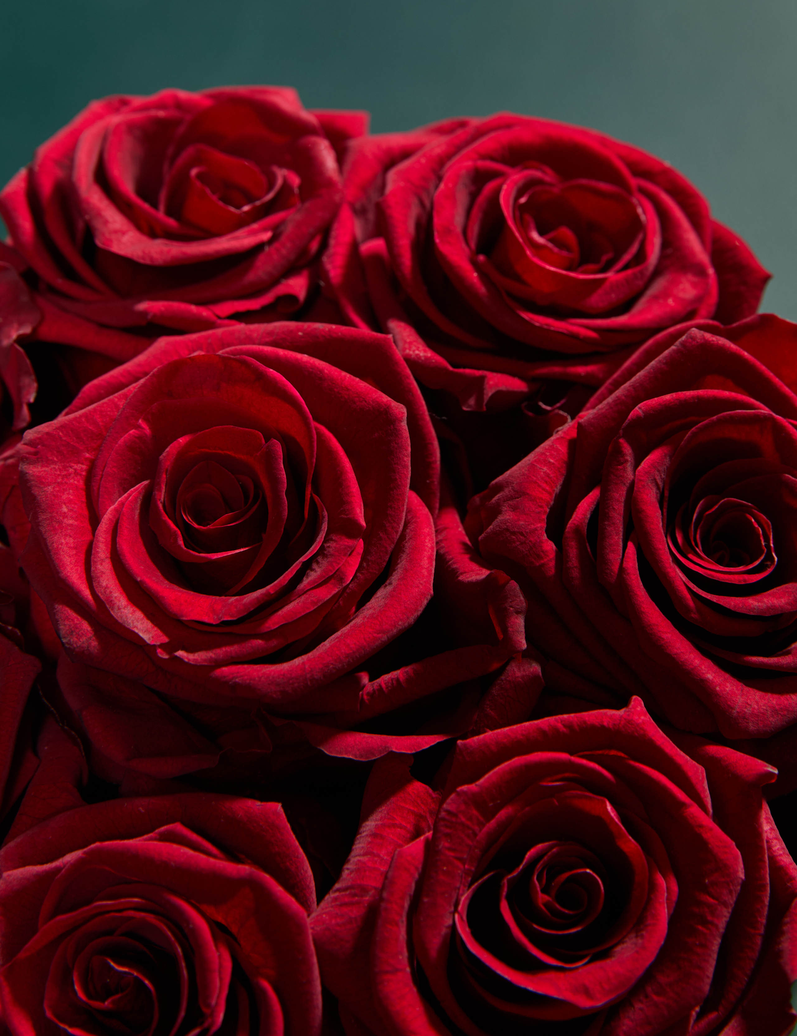 Everlasting Rose Hatbox with Valentine's Truffles 3 of 7
