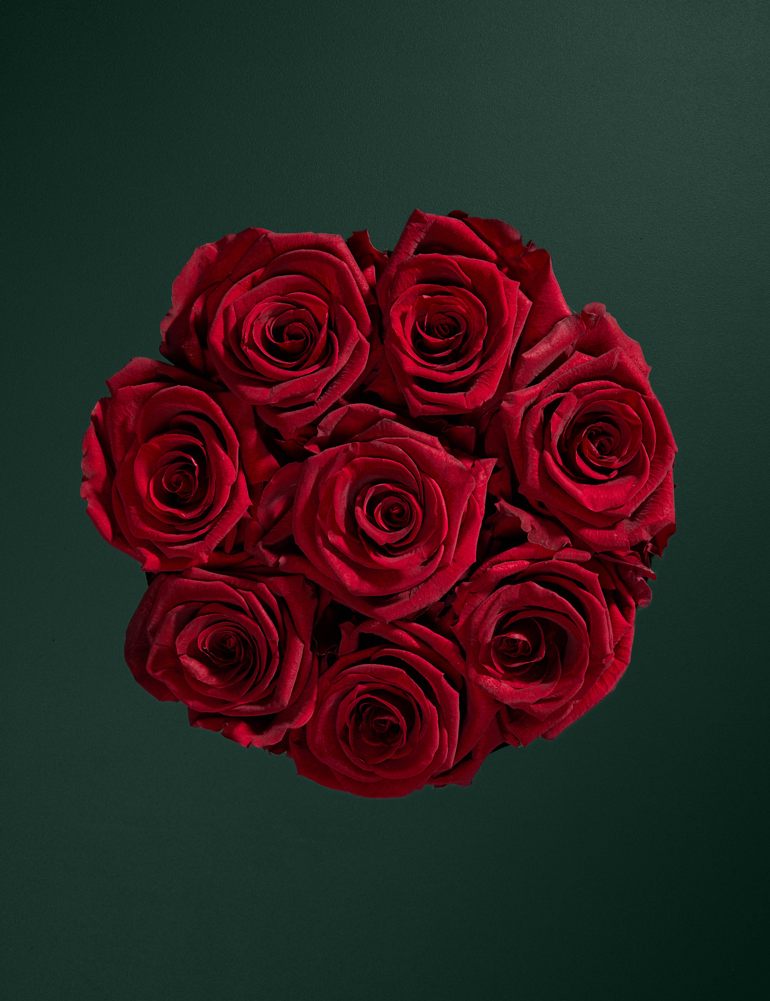 Everlasting Rose Hatbox with Valentine's Truffles 2 of 7