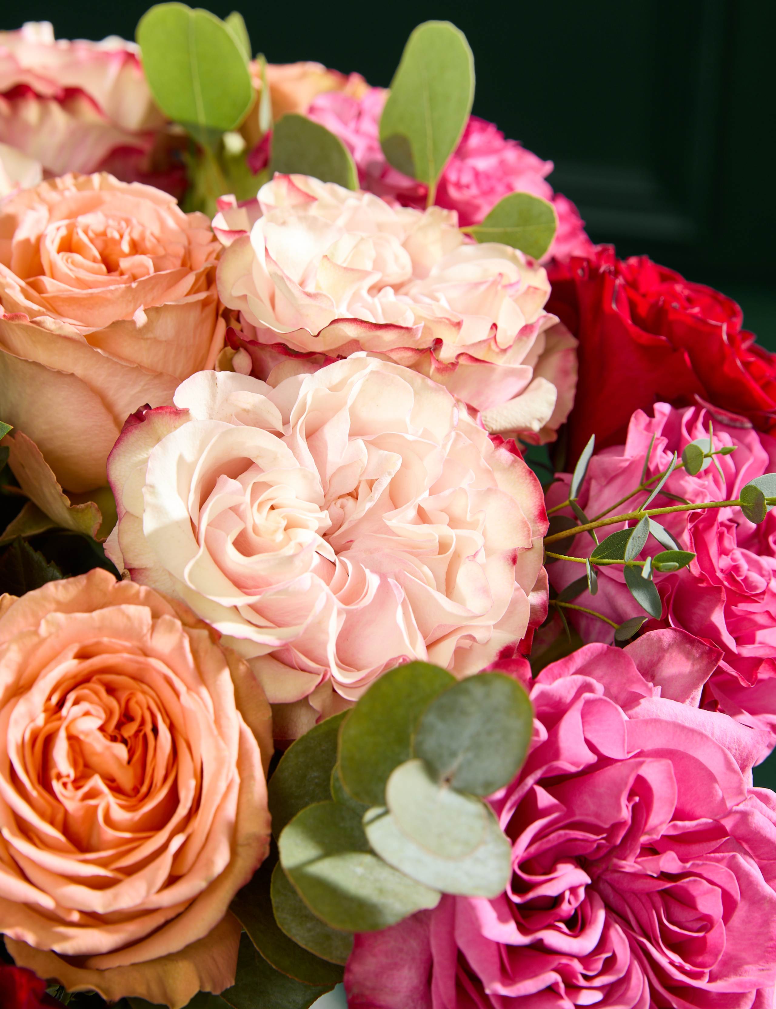 Mother's Day Country Rose Bouquet with Champagne & Chocolates 3 of 8