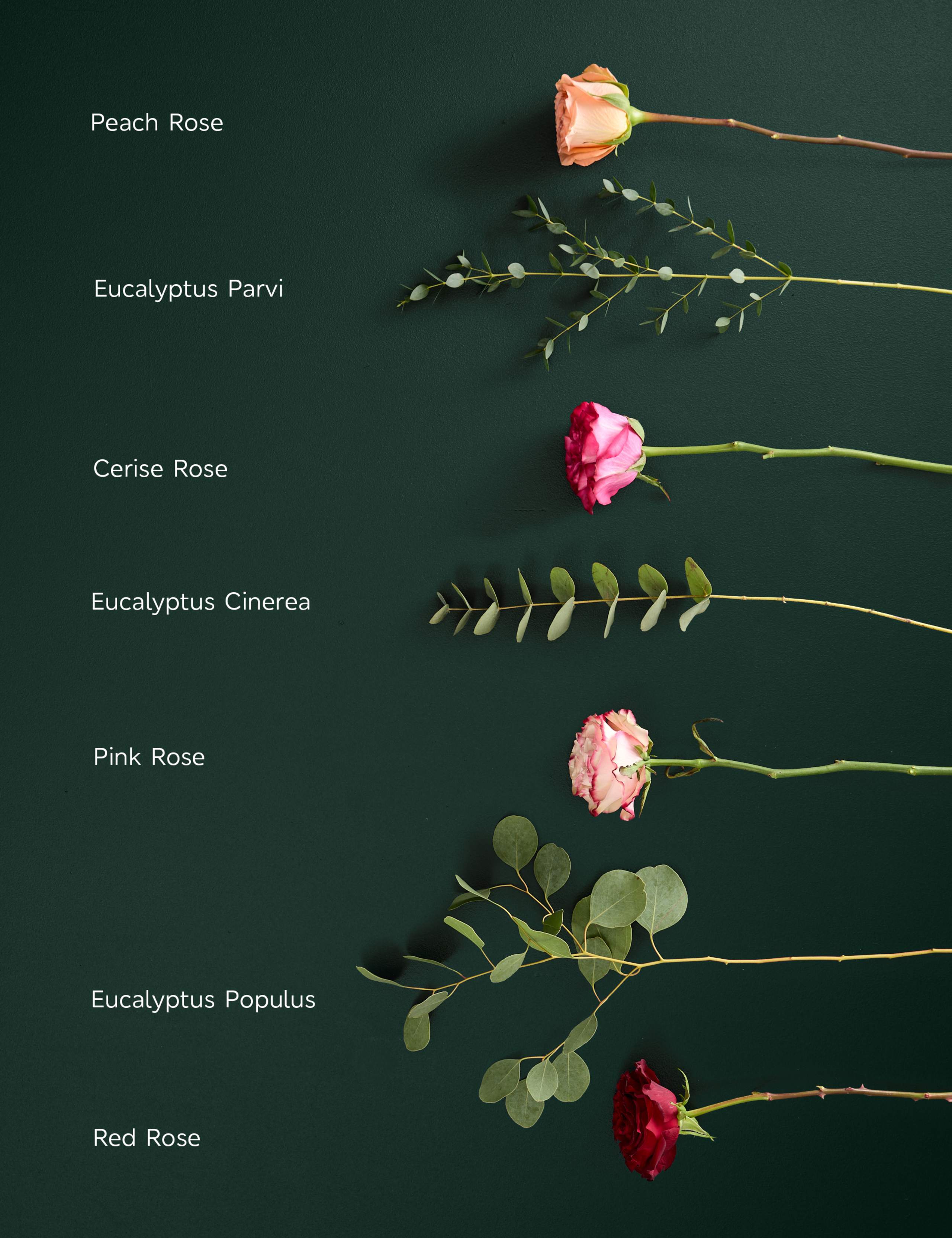 Mother's Day Country Rose Bouquet with Champagne & Chocolates 5 of 8