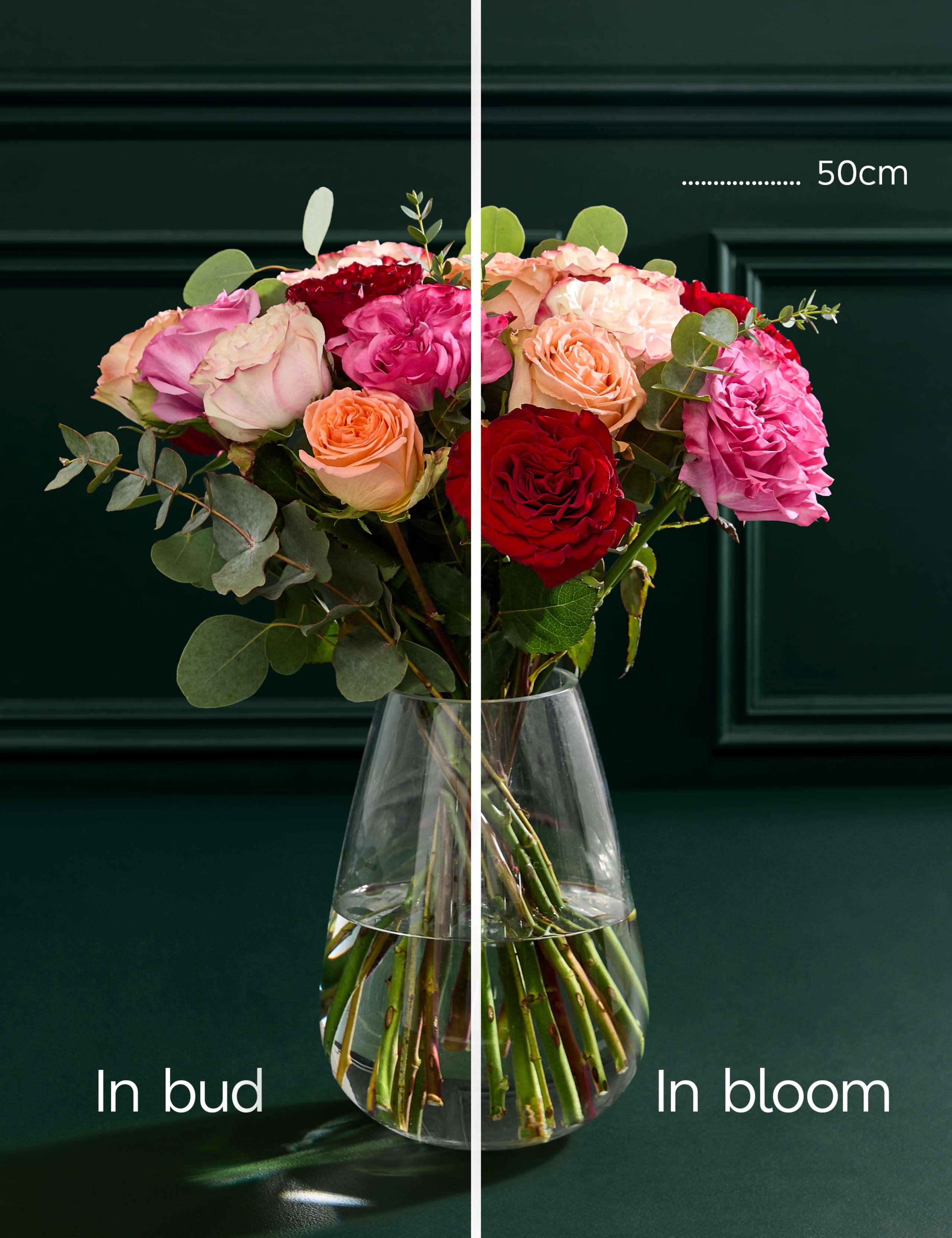 Mother's Day Country Rose Bouquet with Champagne & Chocolates 6 of 8