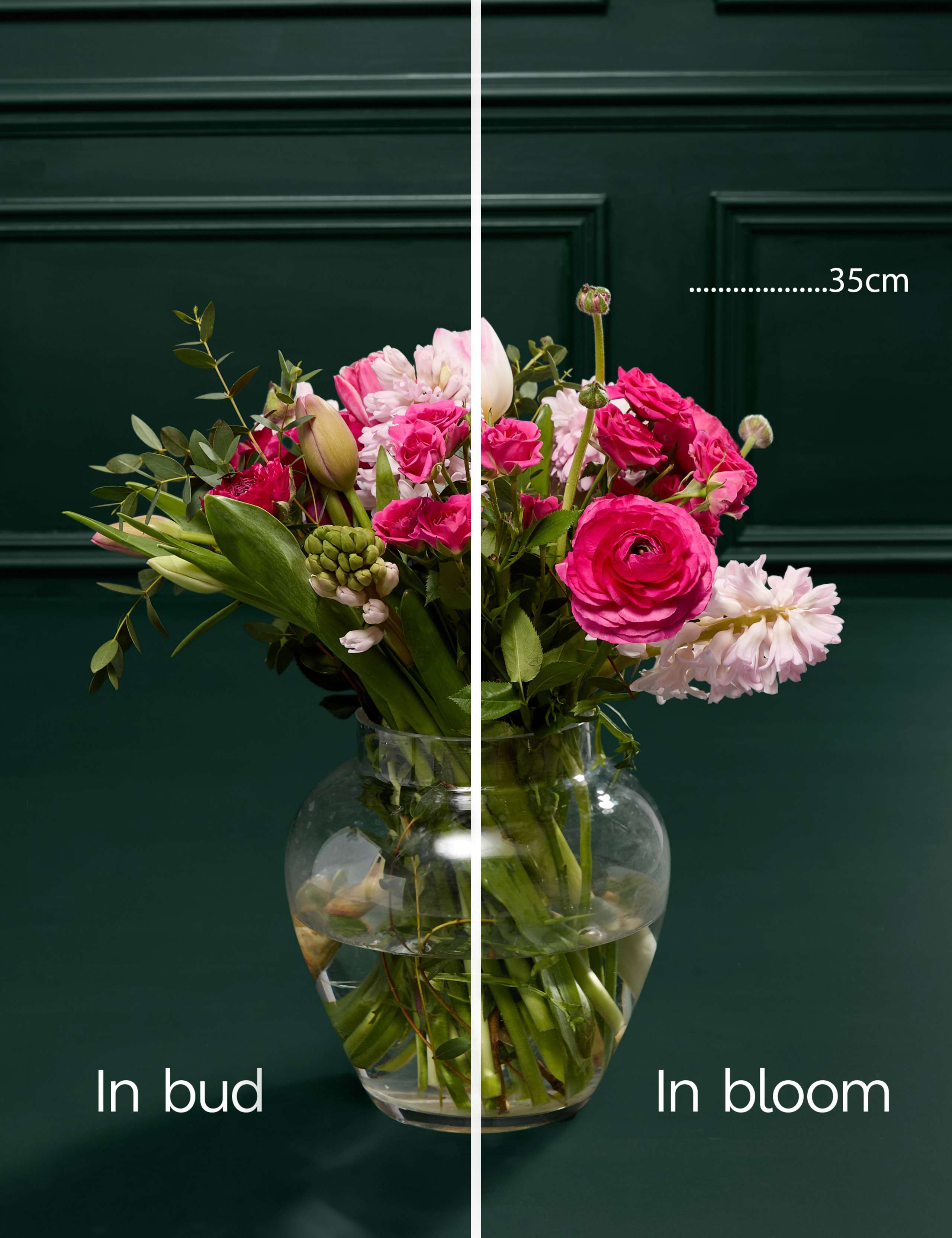 Mother's Day Tulip, Ranunculus & Hyacinth Bouquet with Rosé Prosecco 6 of 8