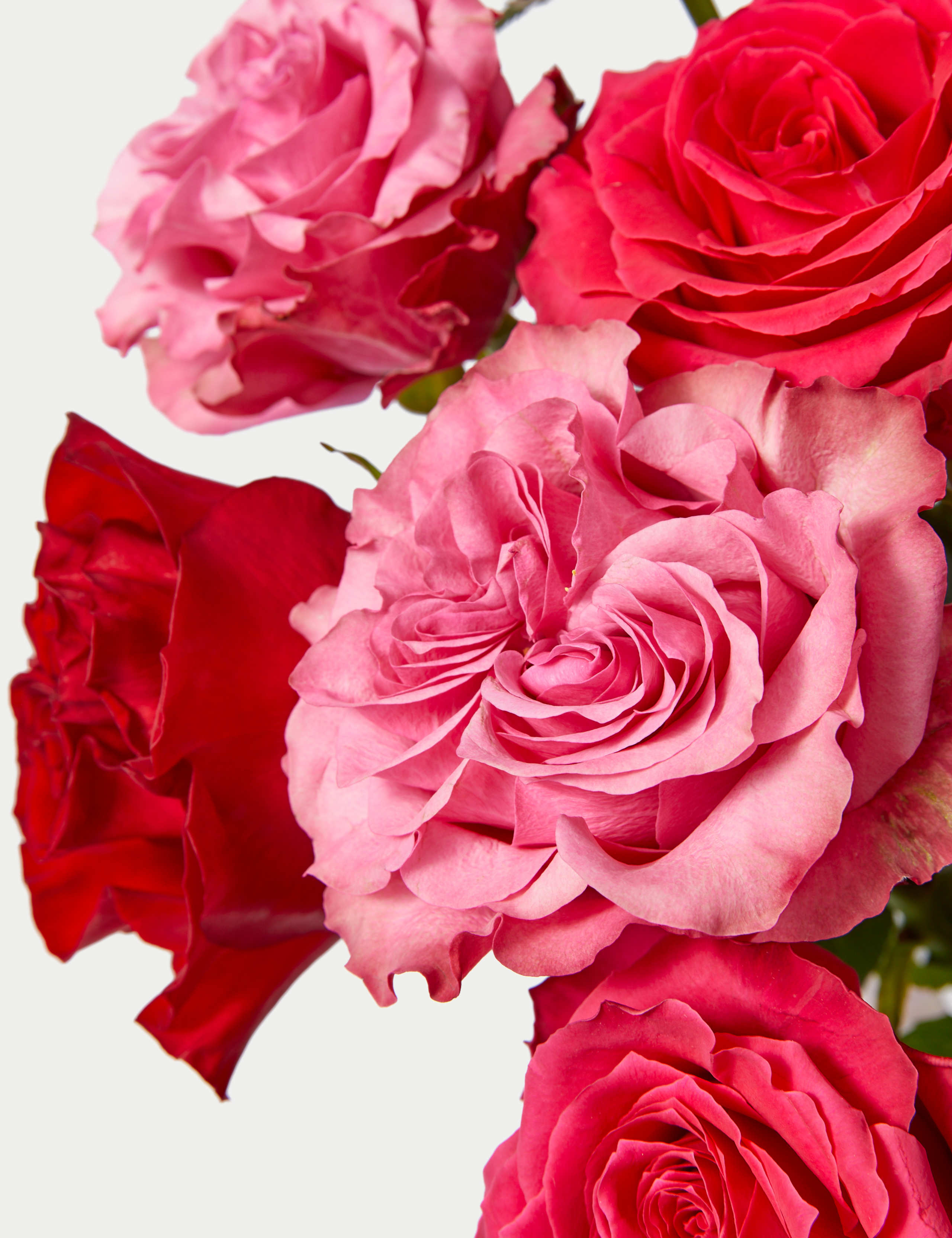 Pink & Red Rose Bouquet, Champagne & Chocolate Bundle 4 of 6
