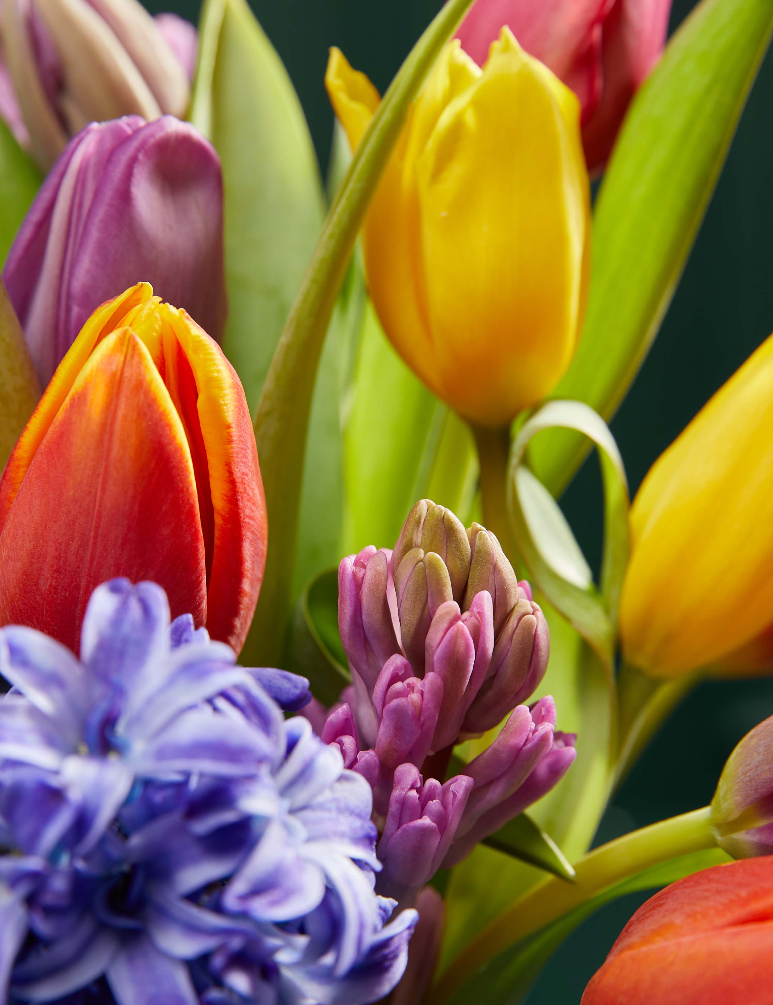 Tulip & Hyacinth Bouquet 3 of 5