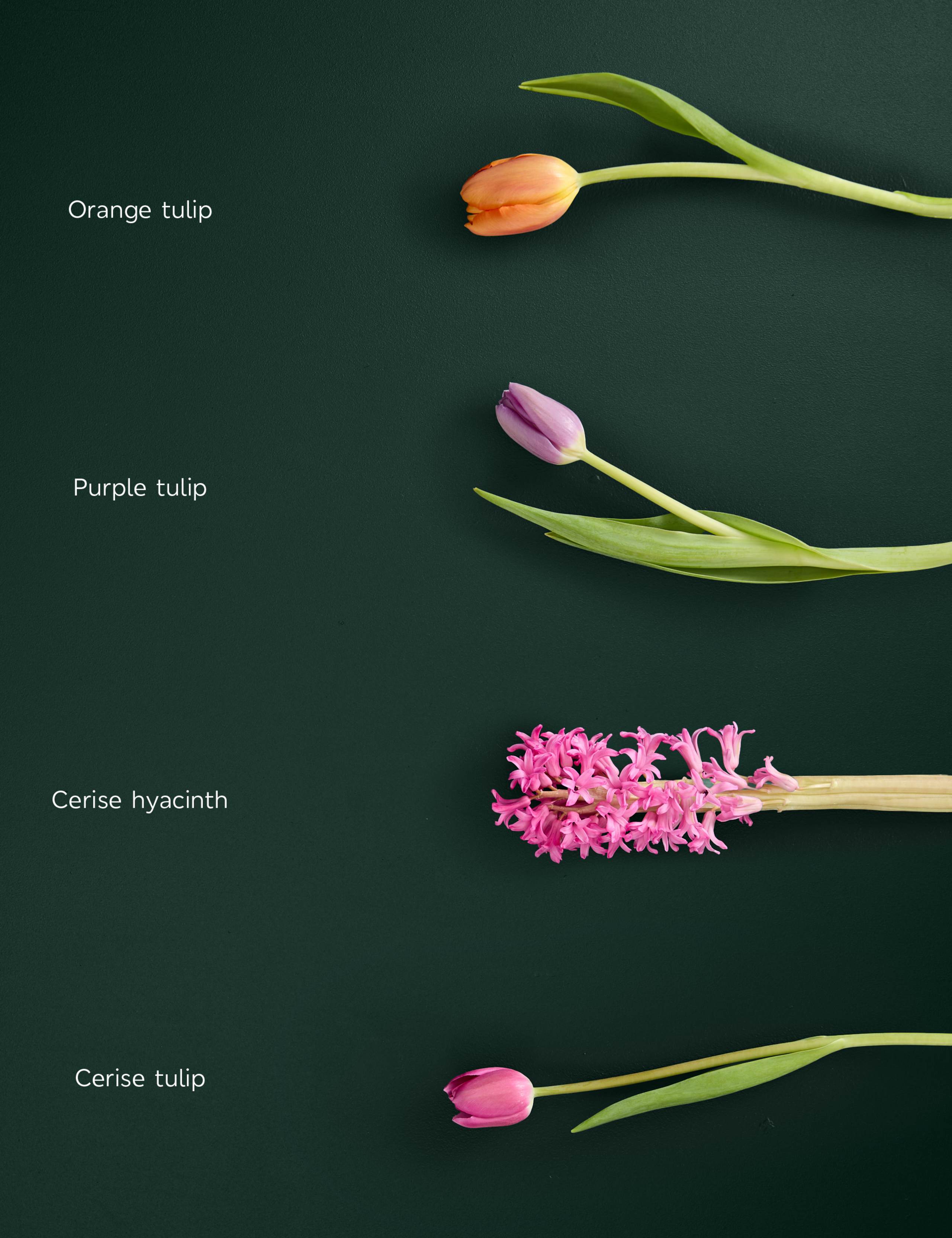 Tulip & Hyacinth Bouquet 4 of 7