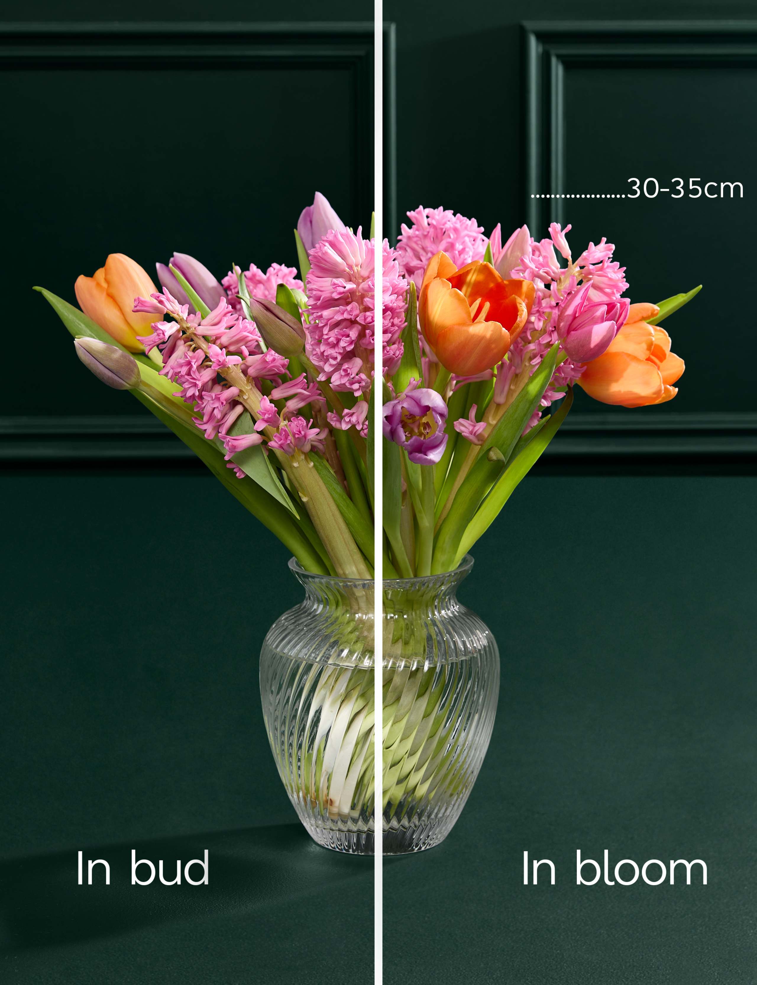 Tulip & Hyacinth Bouquet 5 of 7