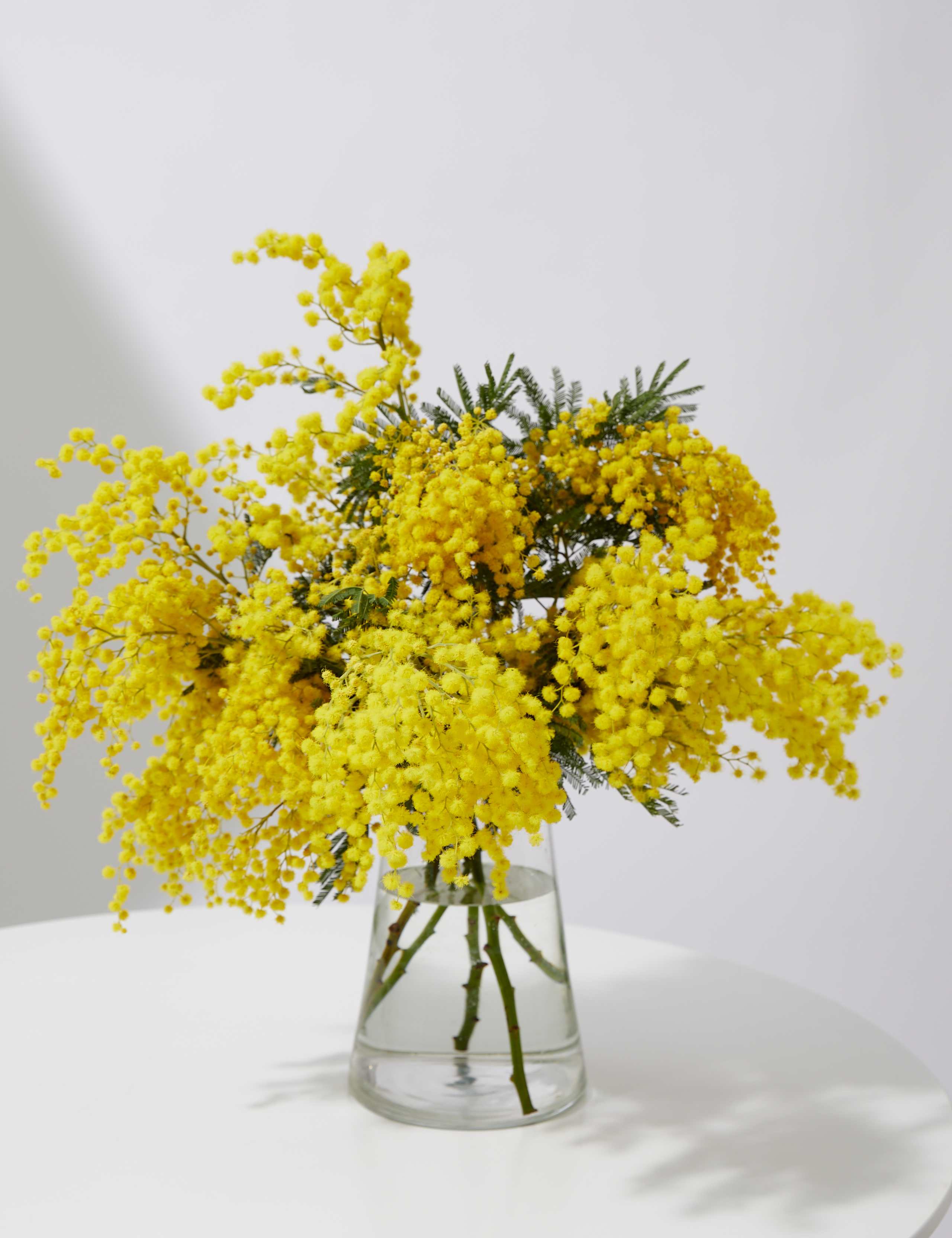Mimosa Abundance Bouquet 1 of 5