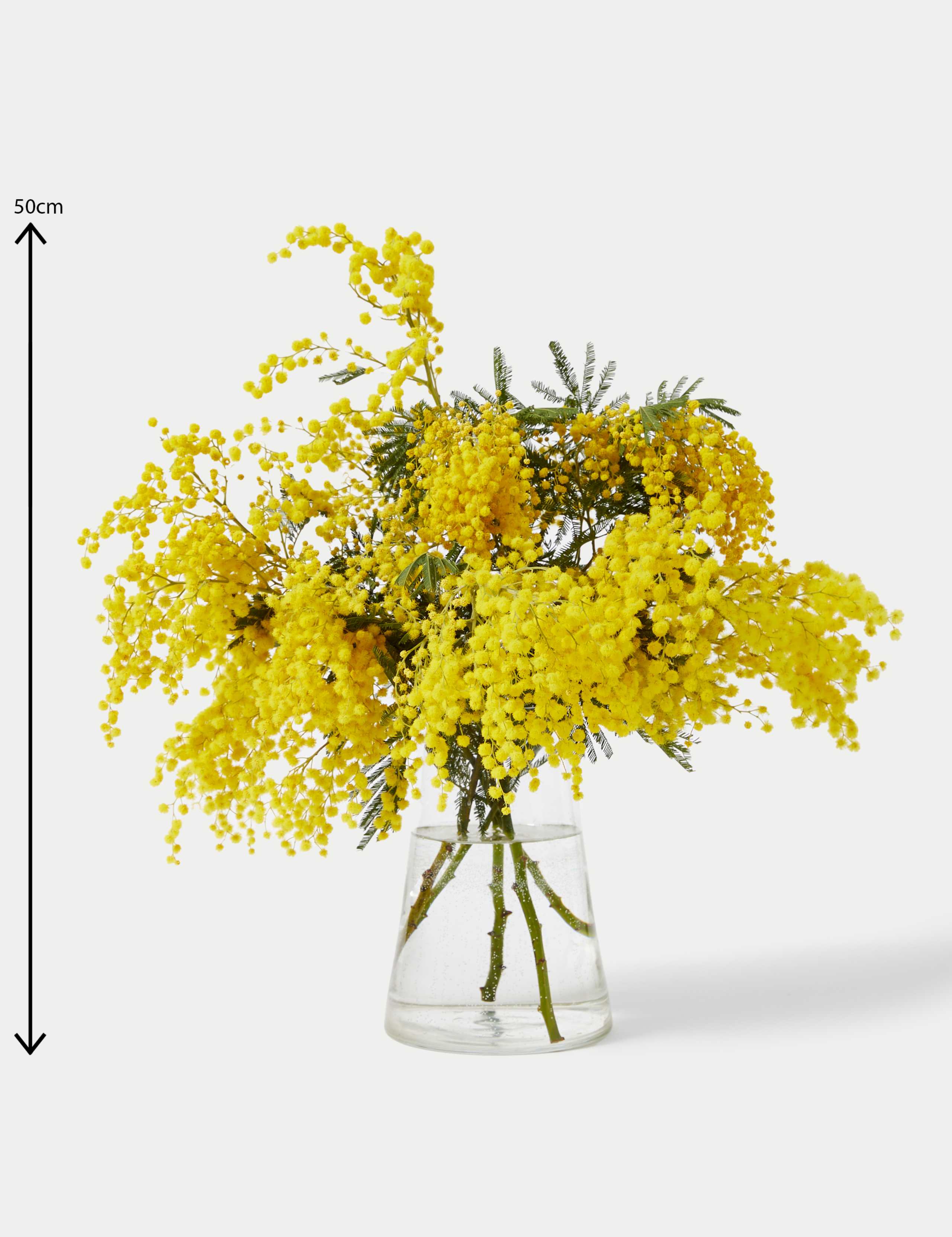 Mimosa Abundance Bouquet 5 of 5