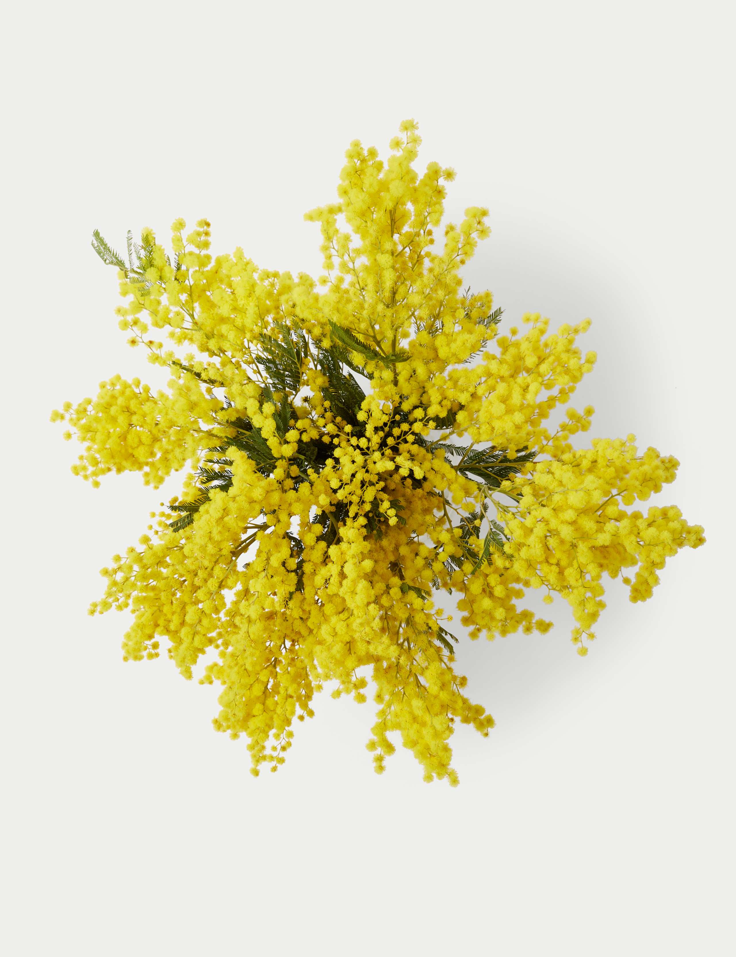Mimosa Abundance Bouquet 2 of 5