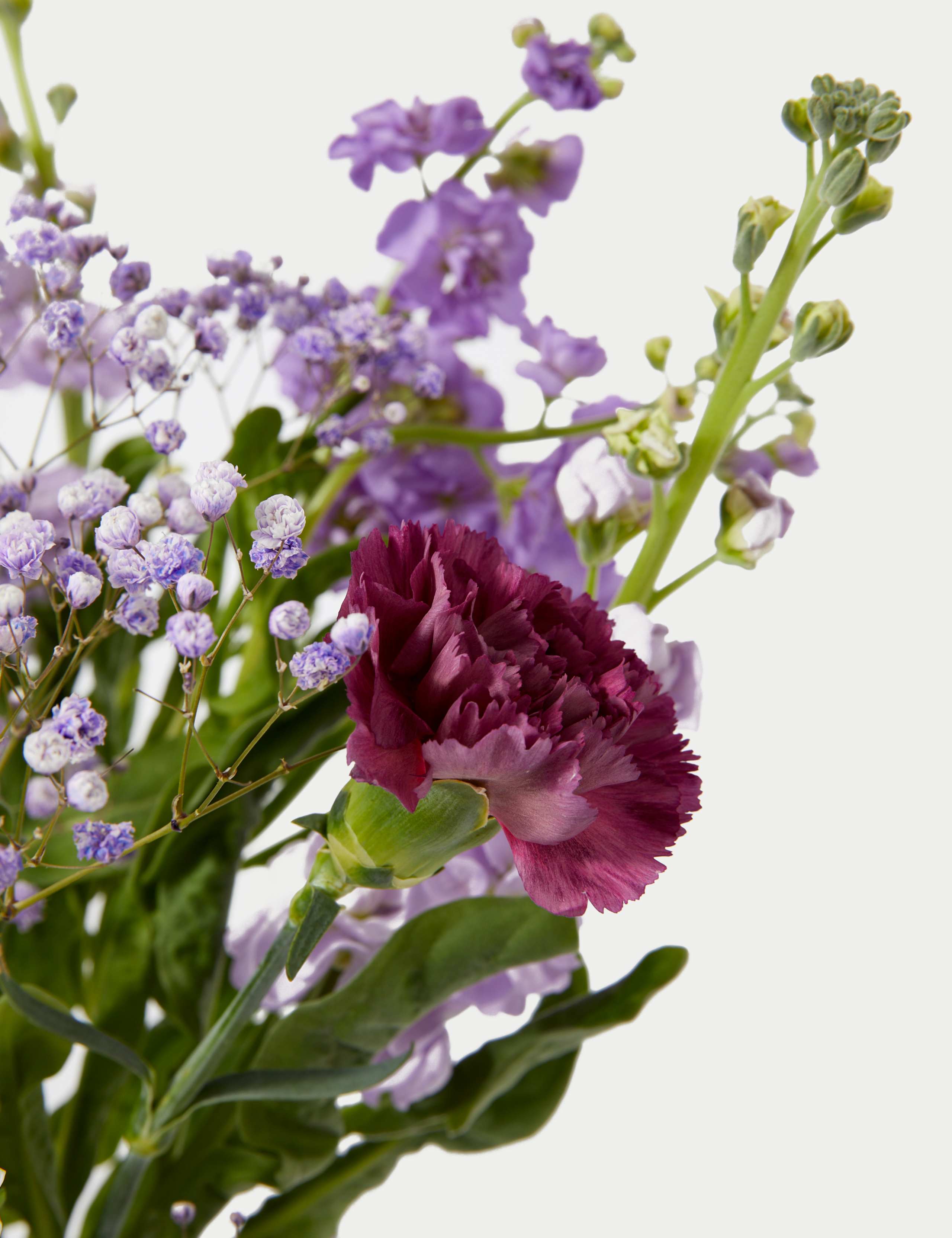 Carnation, Stock & Campanula Bouquet With Tote Bag 4 of 6