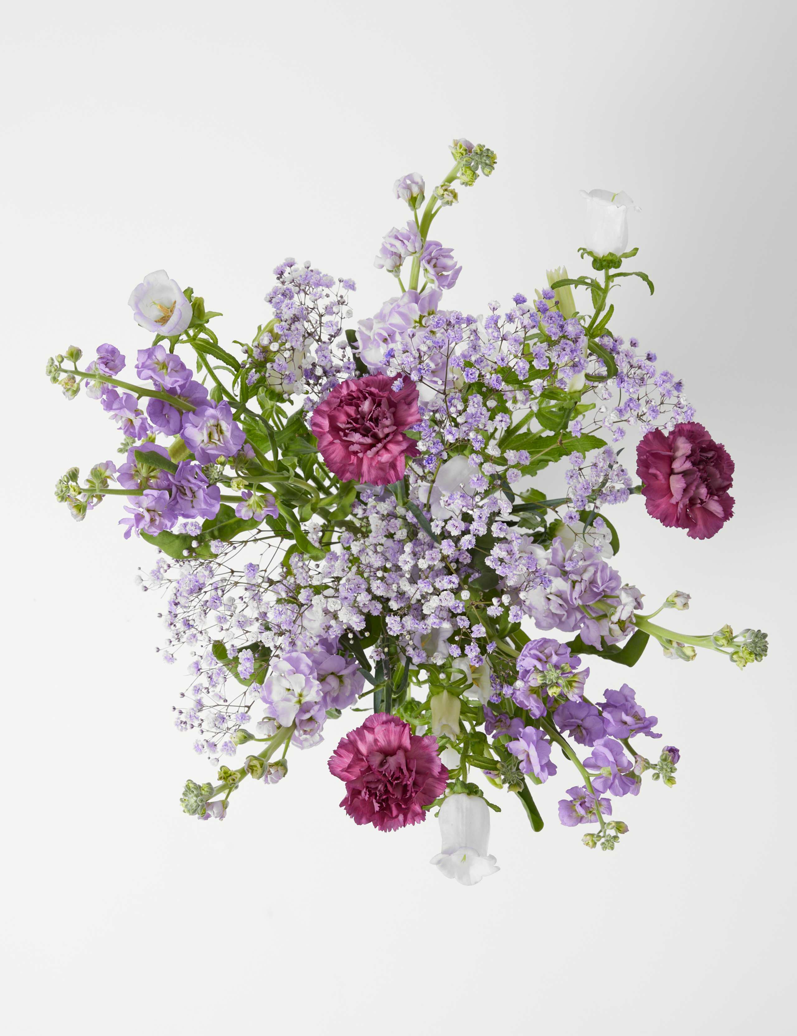 Carnation, Stock & Campanula Bouquet With Tote Bag 2 of 6