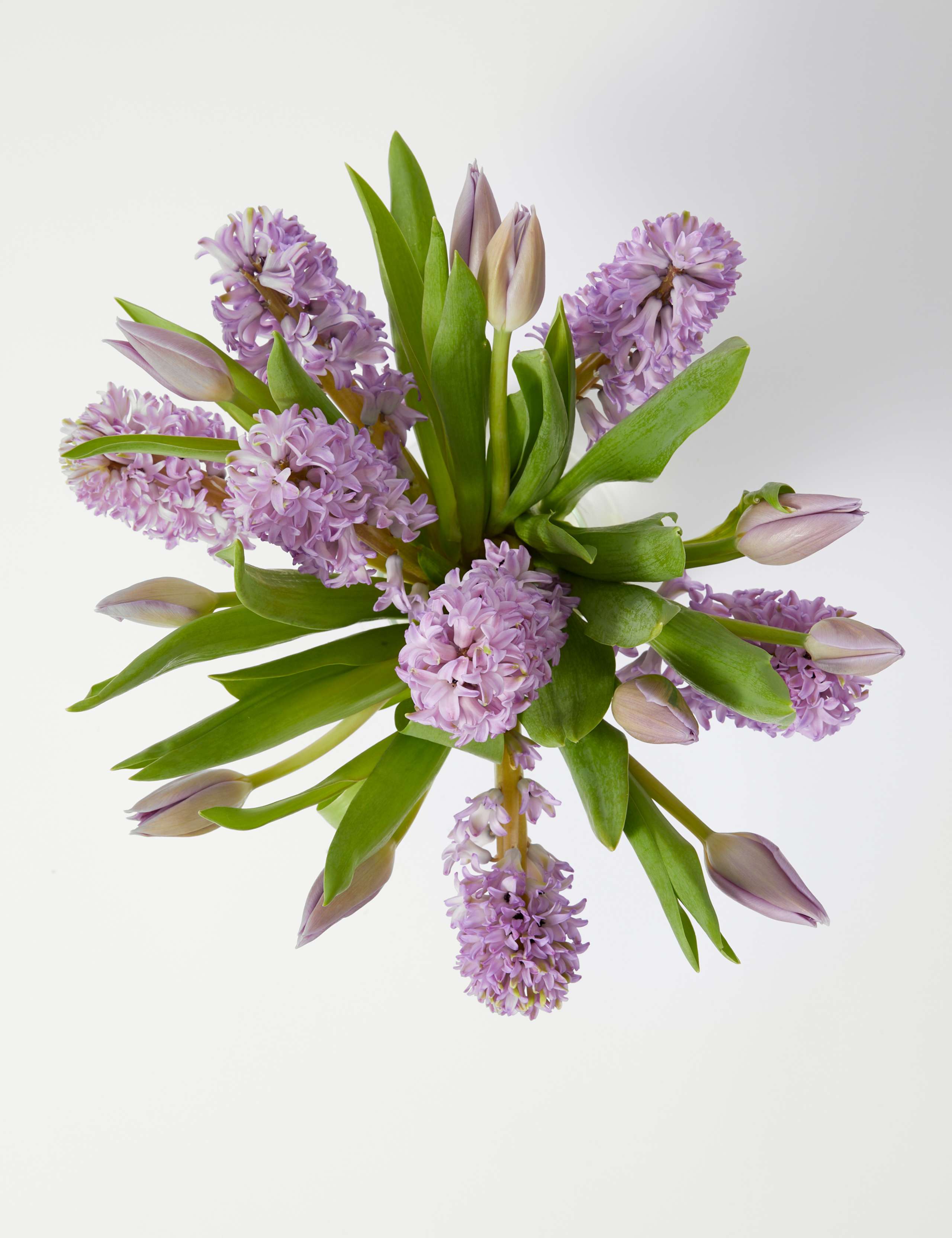 Hyacinth & Tulip Bouquet 2 of 5