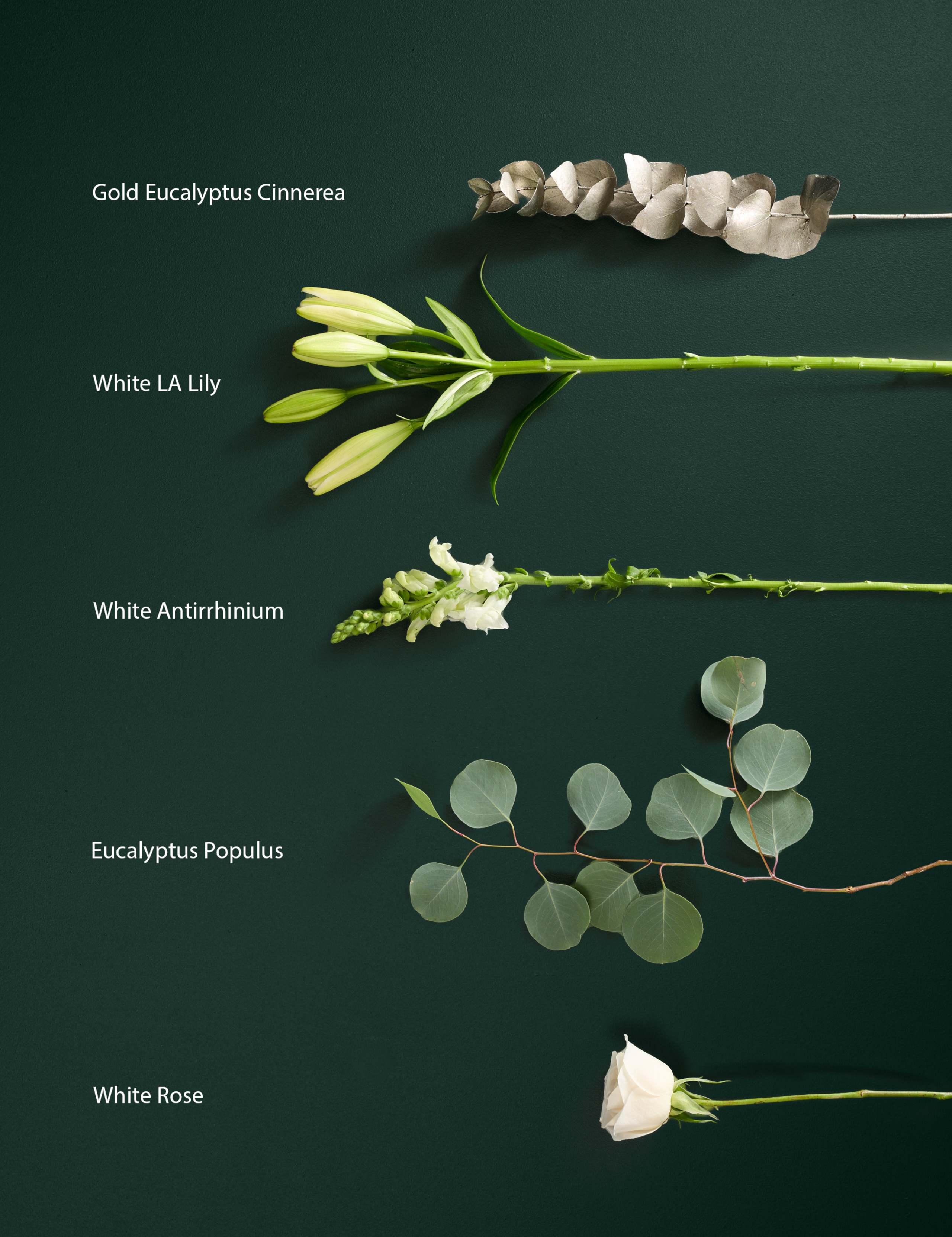 New Year Sparkle Rose & Lily Bouquet 4 of 7