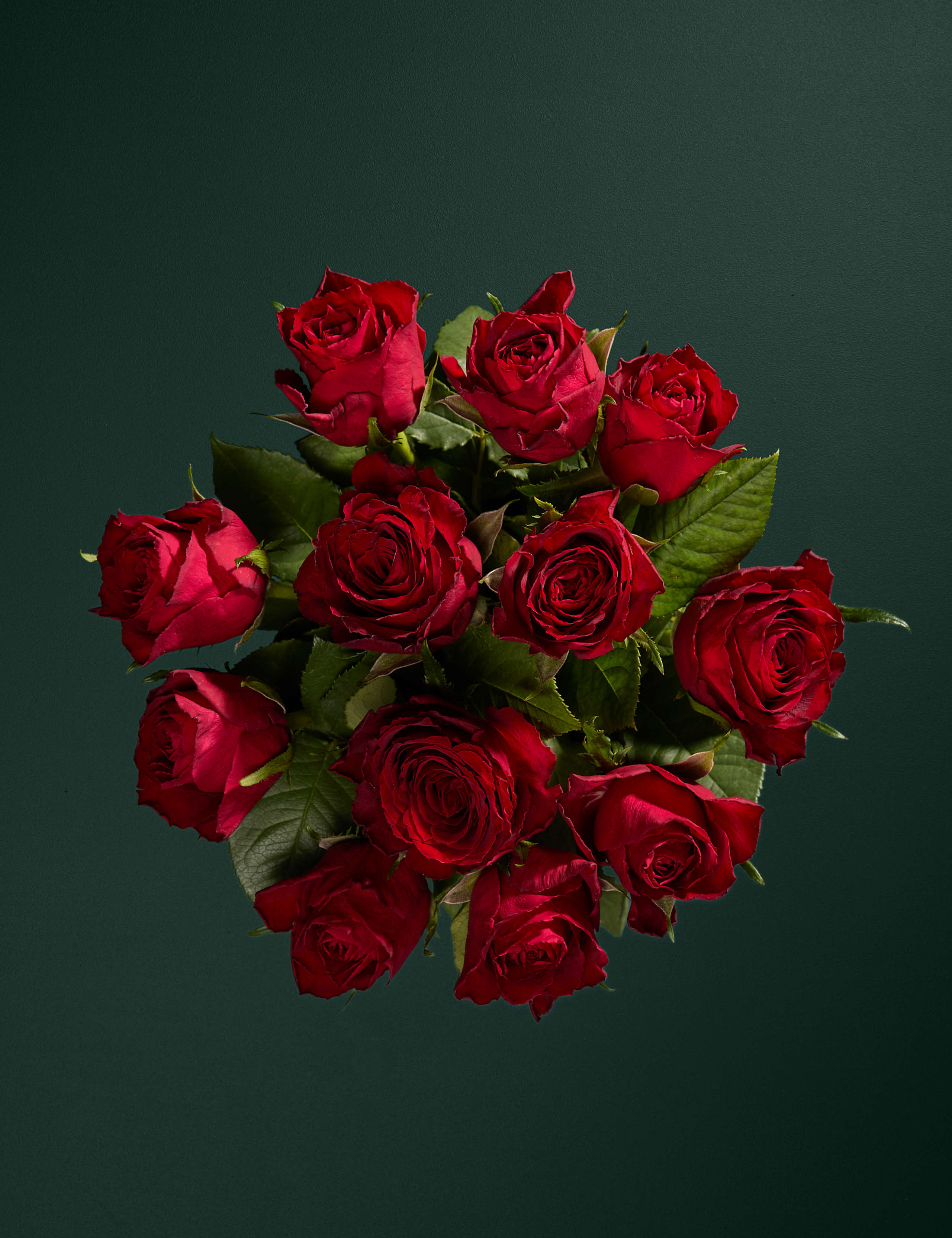 Dozen Red Roses Bouquet with Prosecco & Chocolates 2 of 7