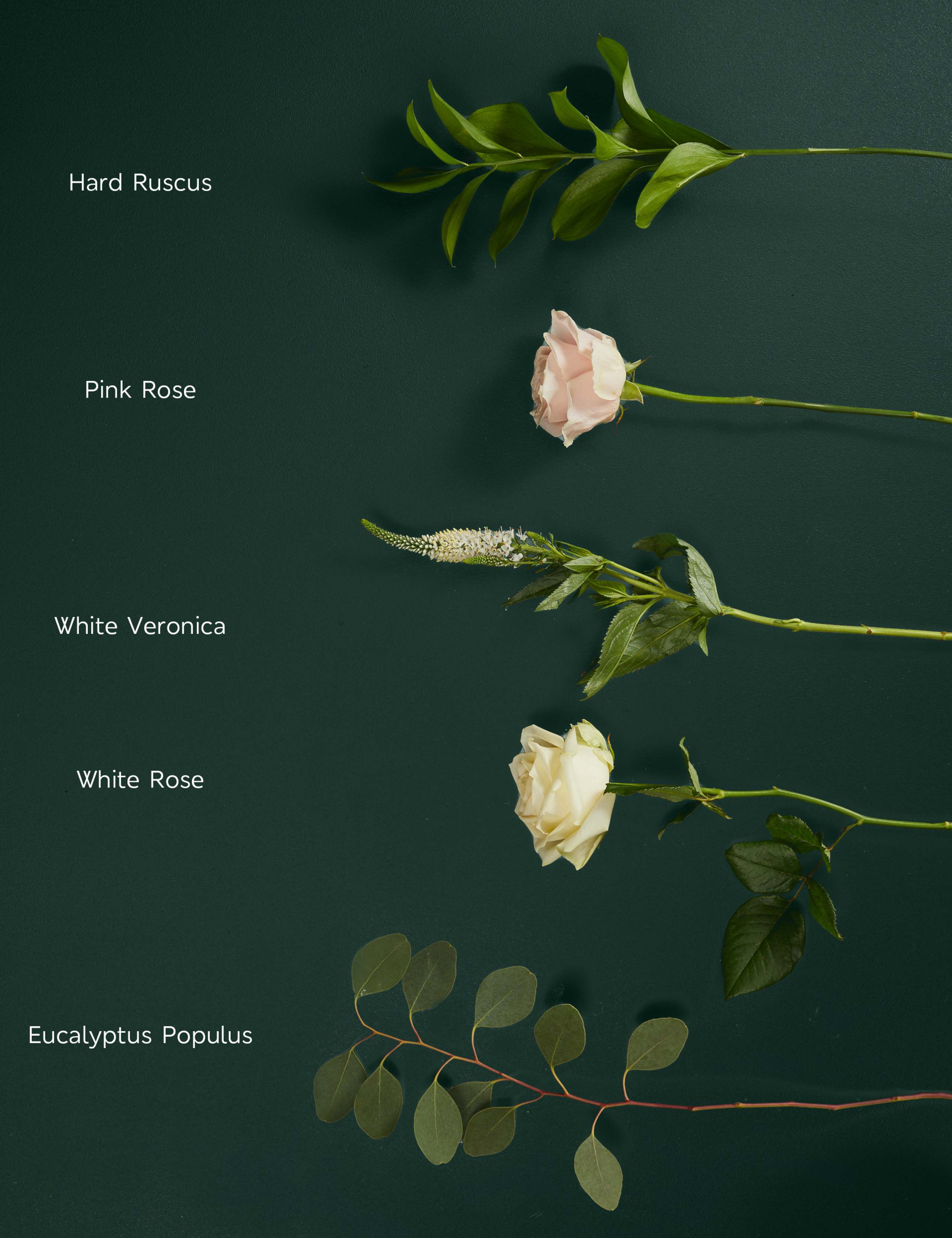 Thinking of You Rose Bouquet with Calm Candle 4 of 6