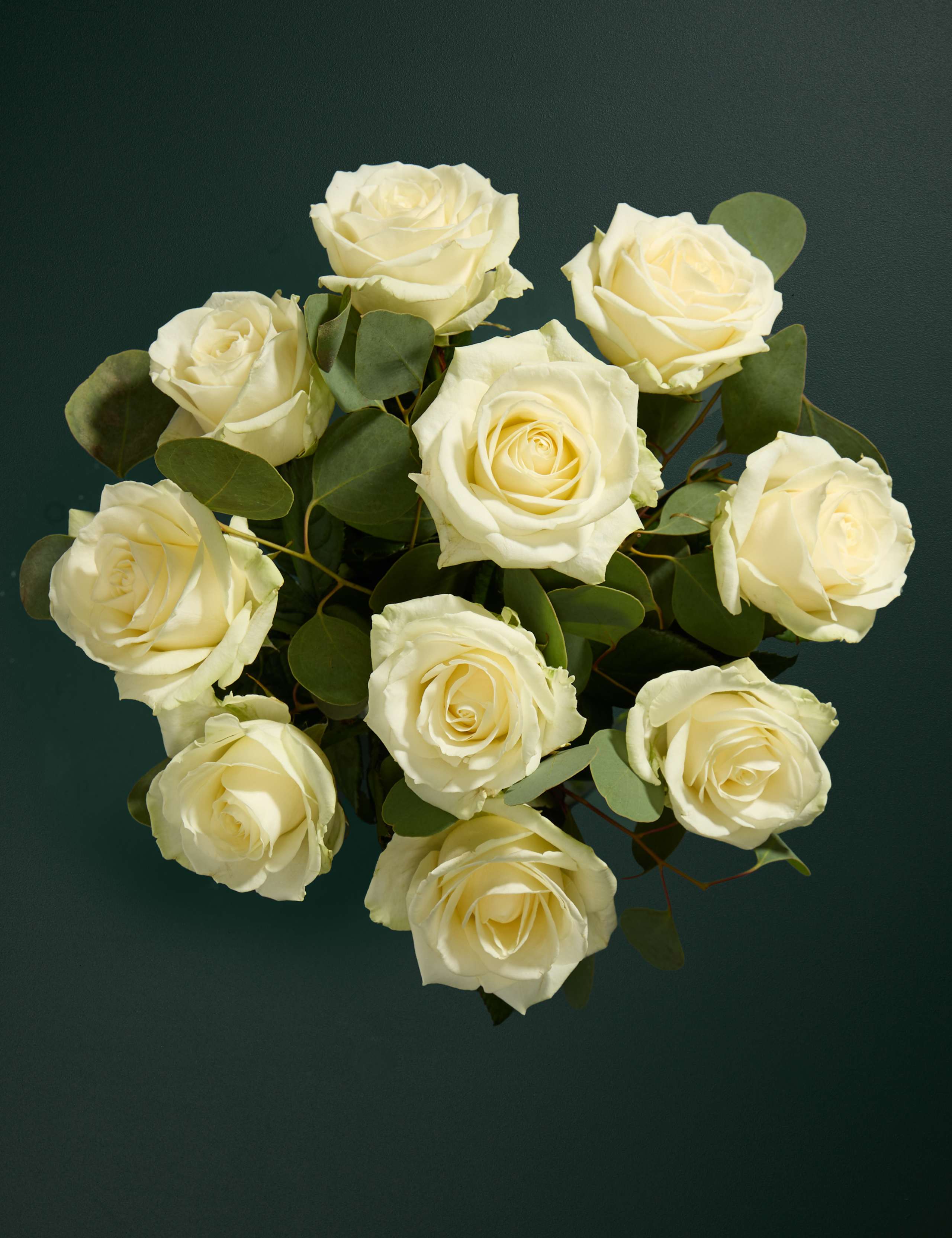Celebration Rose Bouquet with Champagne & Truffles 2 of 6