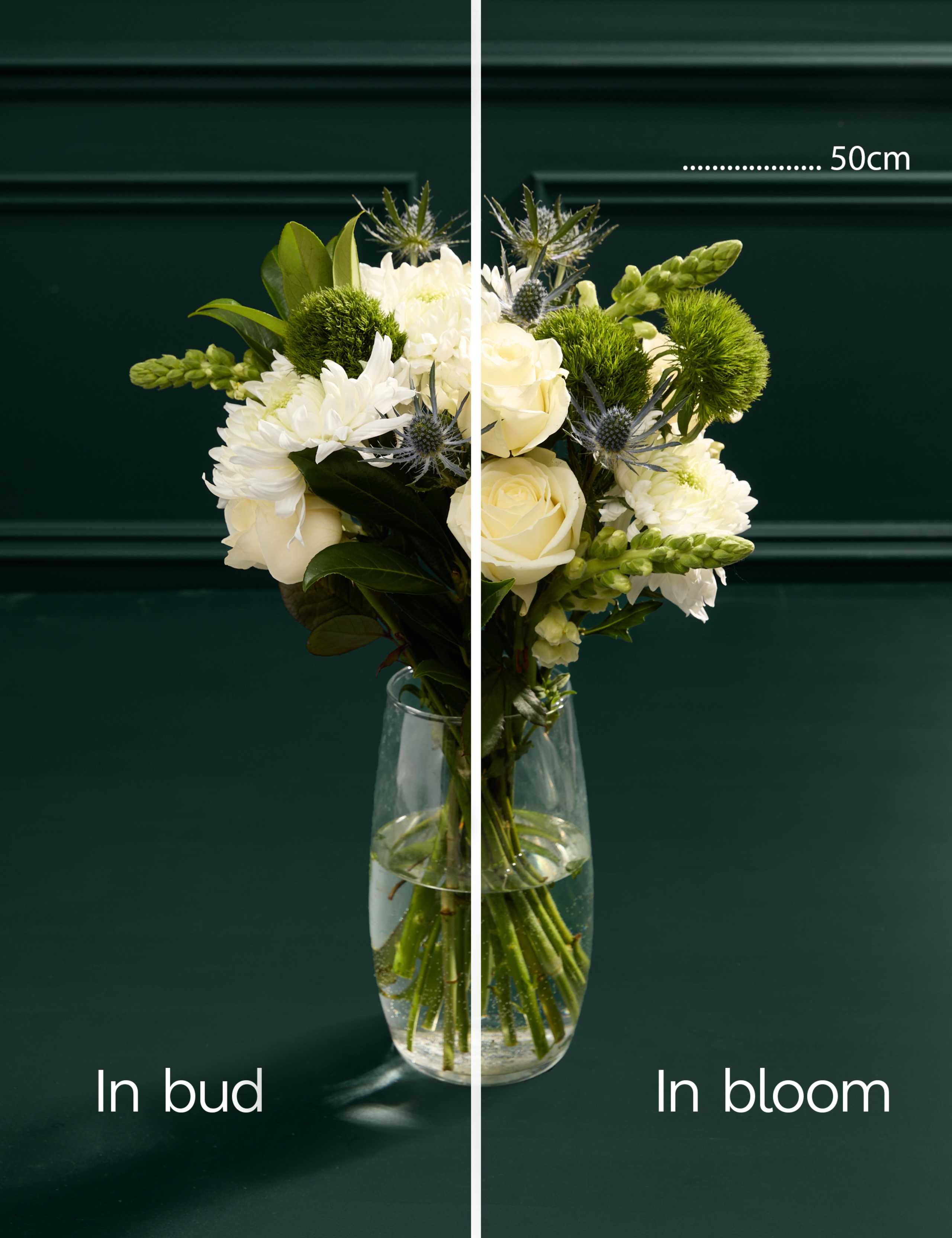 Rose & Thistle Bouquet with Swiss Chocolates 7 of 9