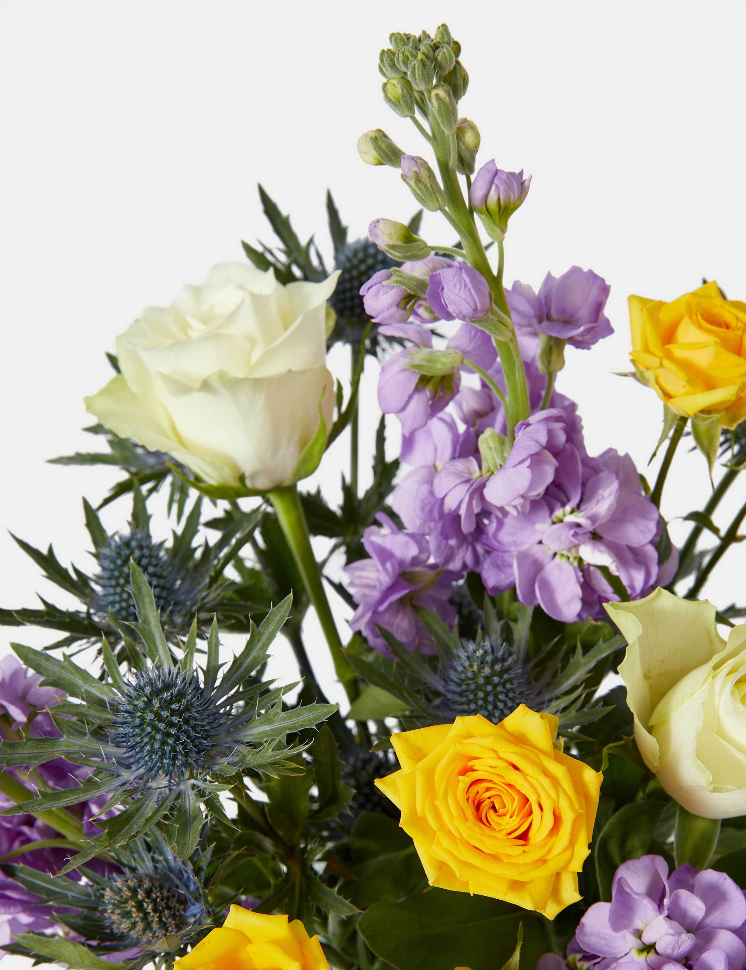Easter Stock & Rose with Vase 4 of 4