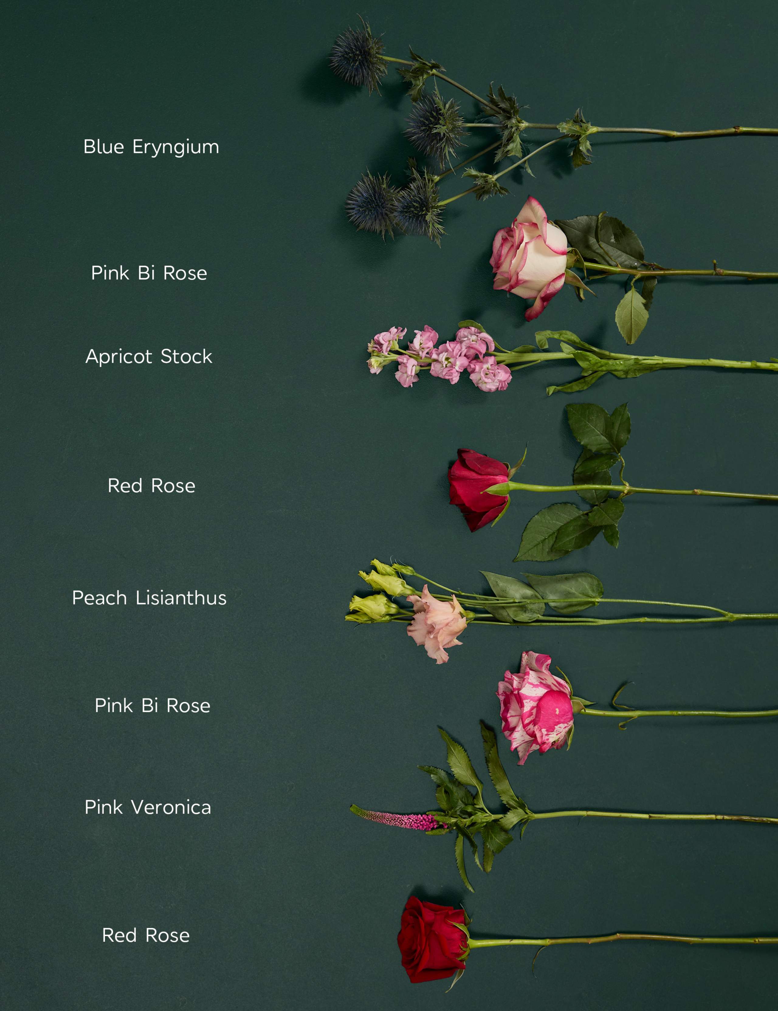 With Love Rose Bouquet 4 of 7
