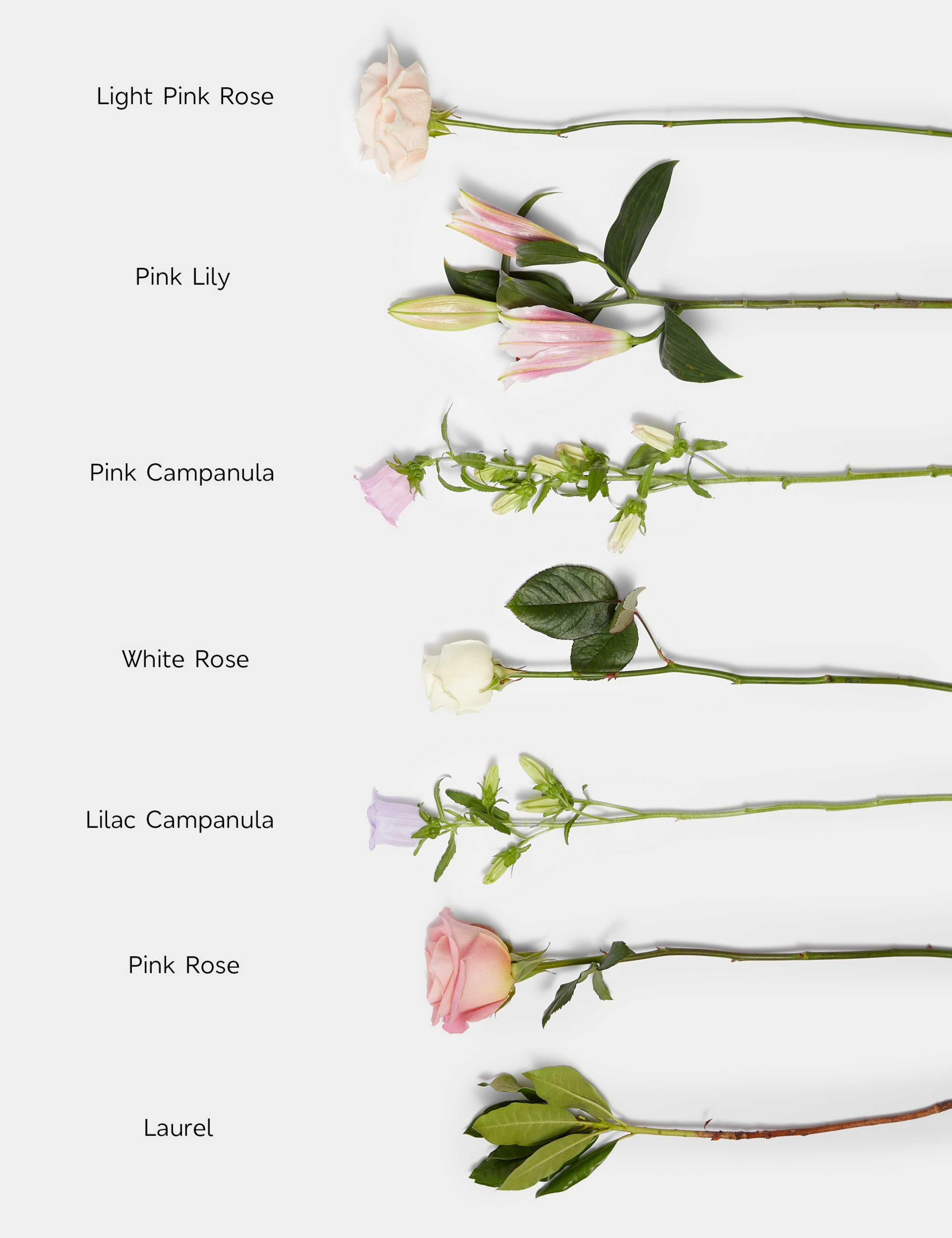 Rose, Lily & Campanula Bouquet 5 of 6