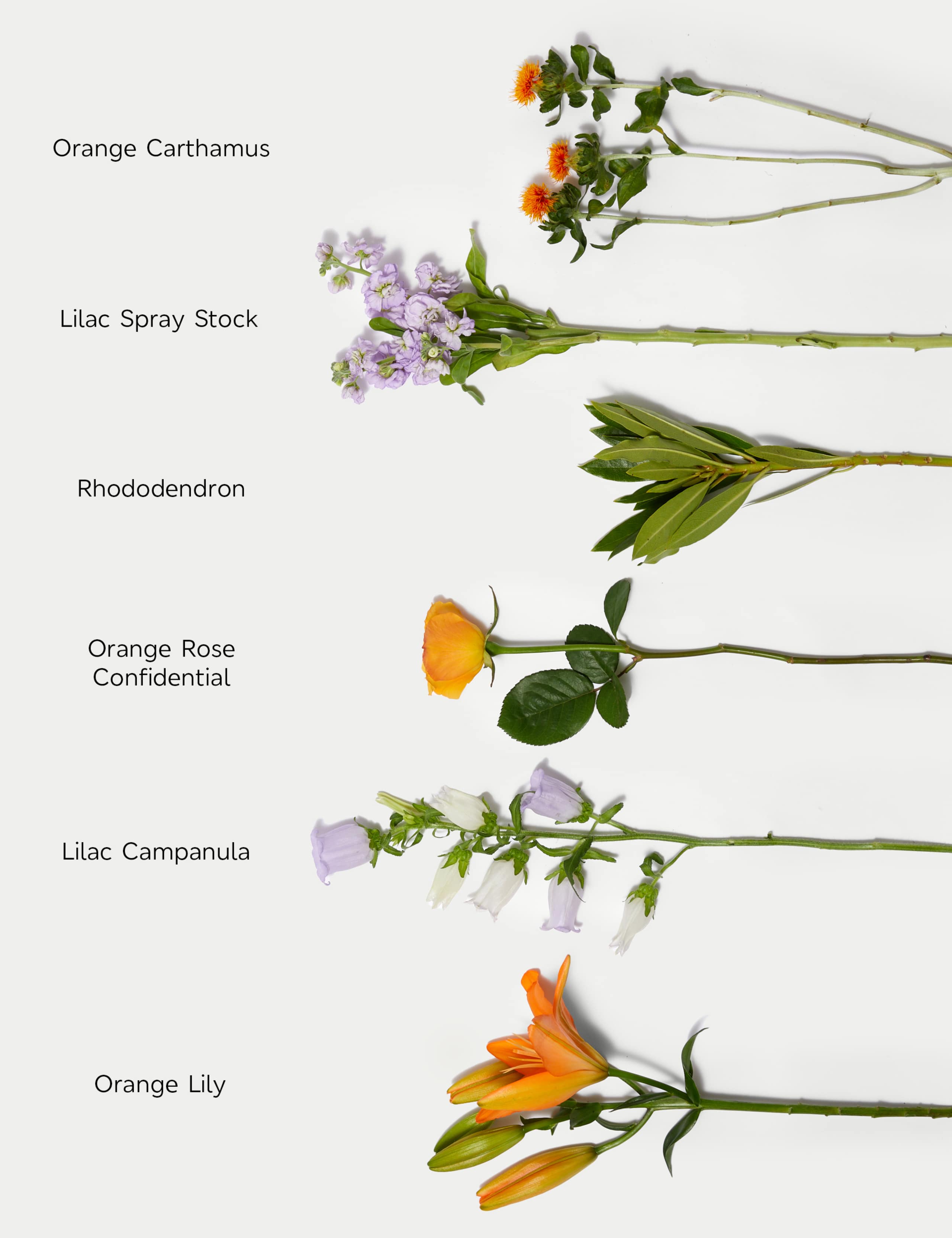 Rose, Lily & Stock Bouquet 5 of 6