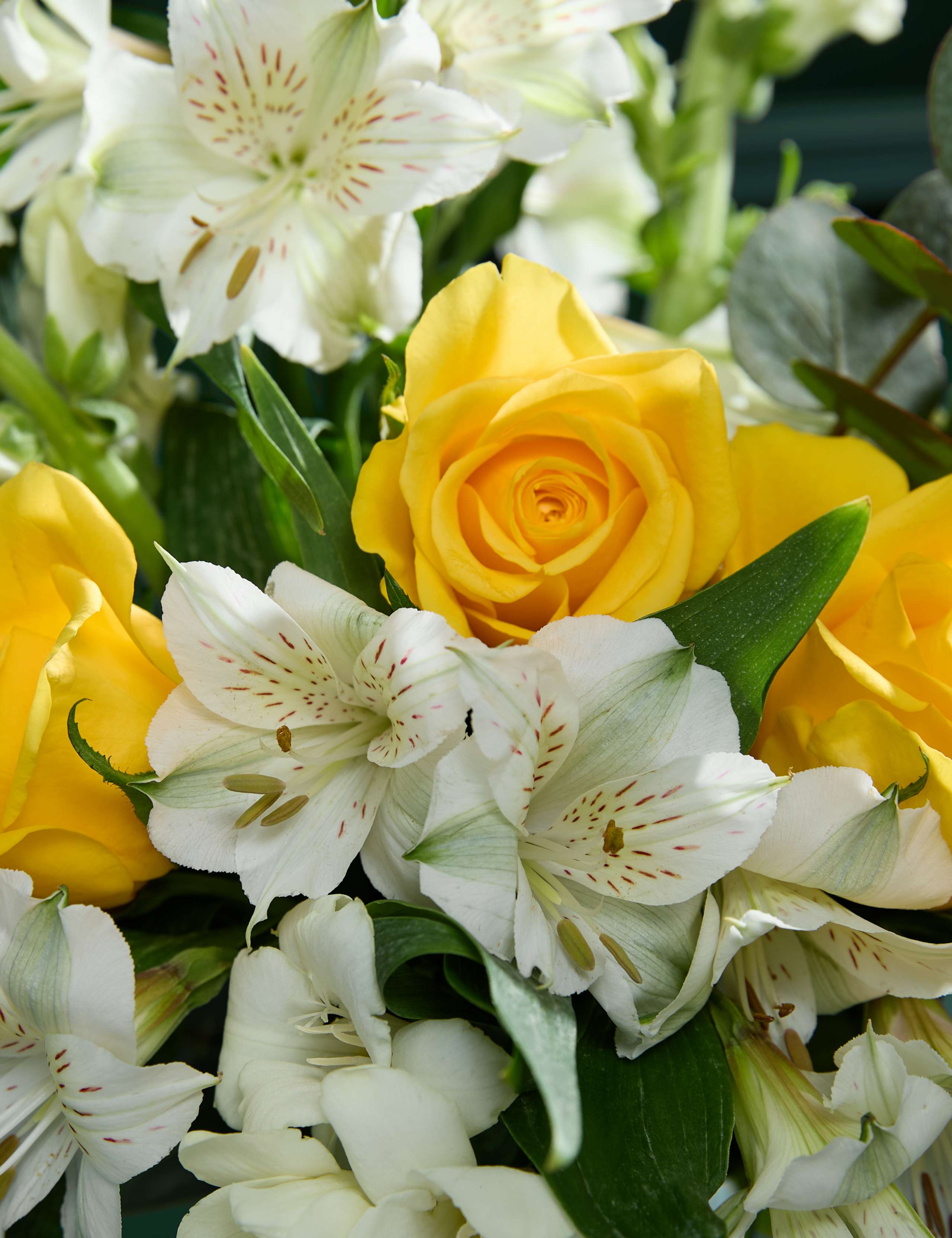 Yellow Rose & Scented Freesia Bouquet 3 of 7